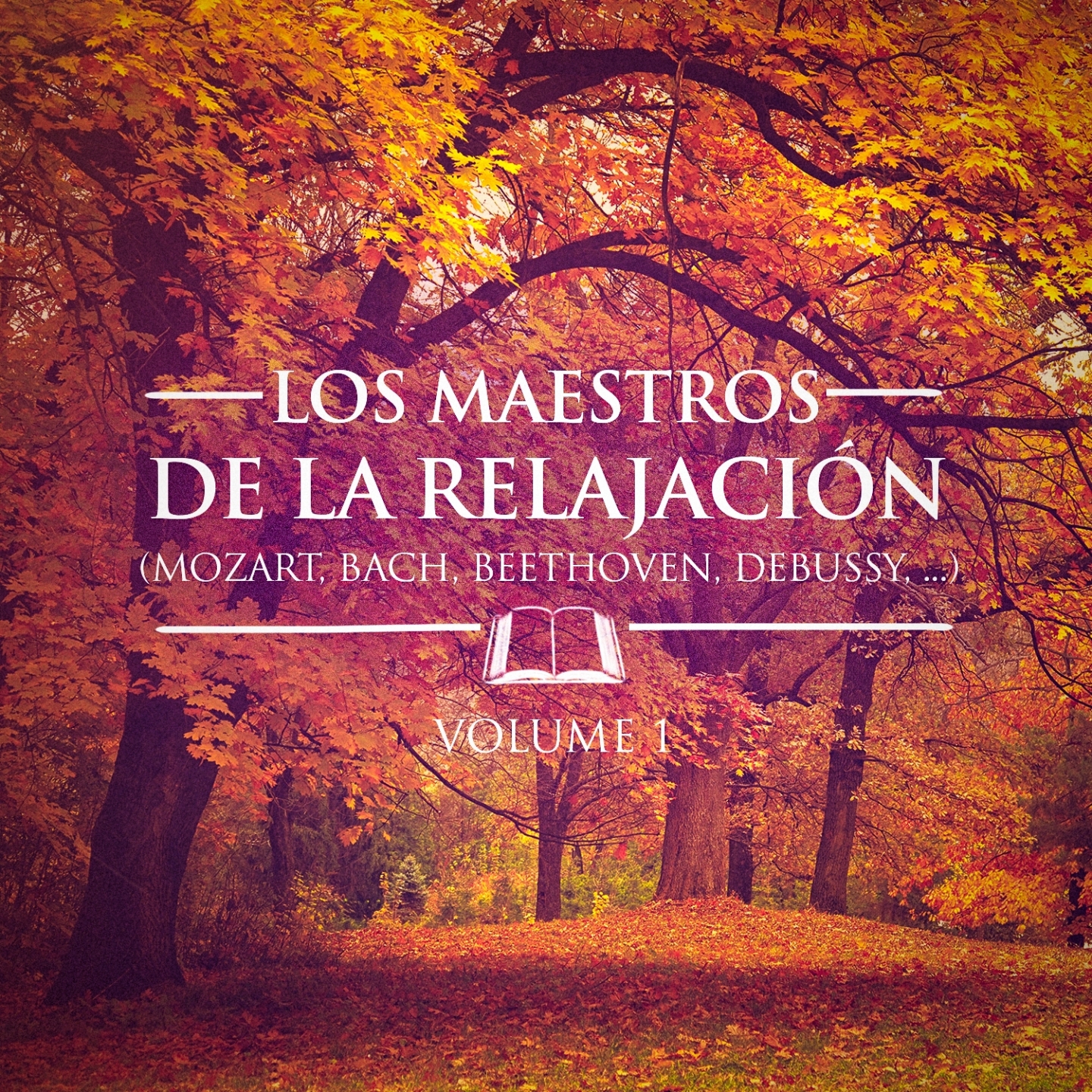 Los Maestros de la Relajacio n, Vol. 1 Debussy, Satie, Bach, Mozart, Chaikovski y Beethoven