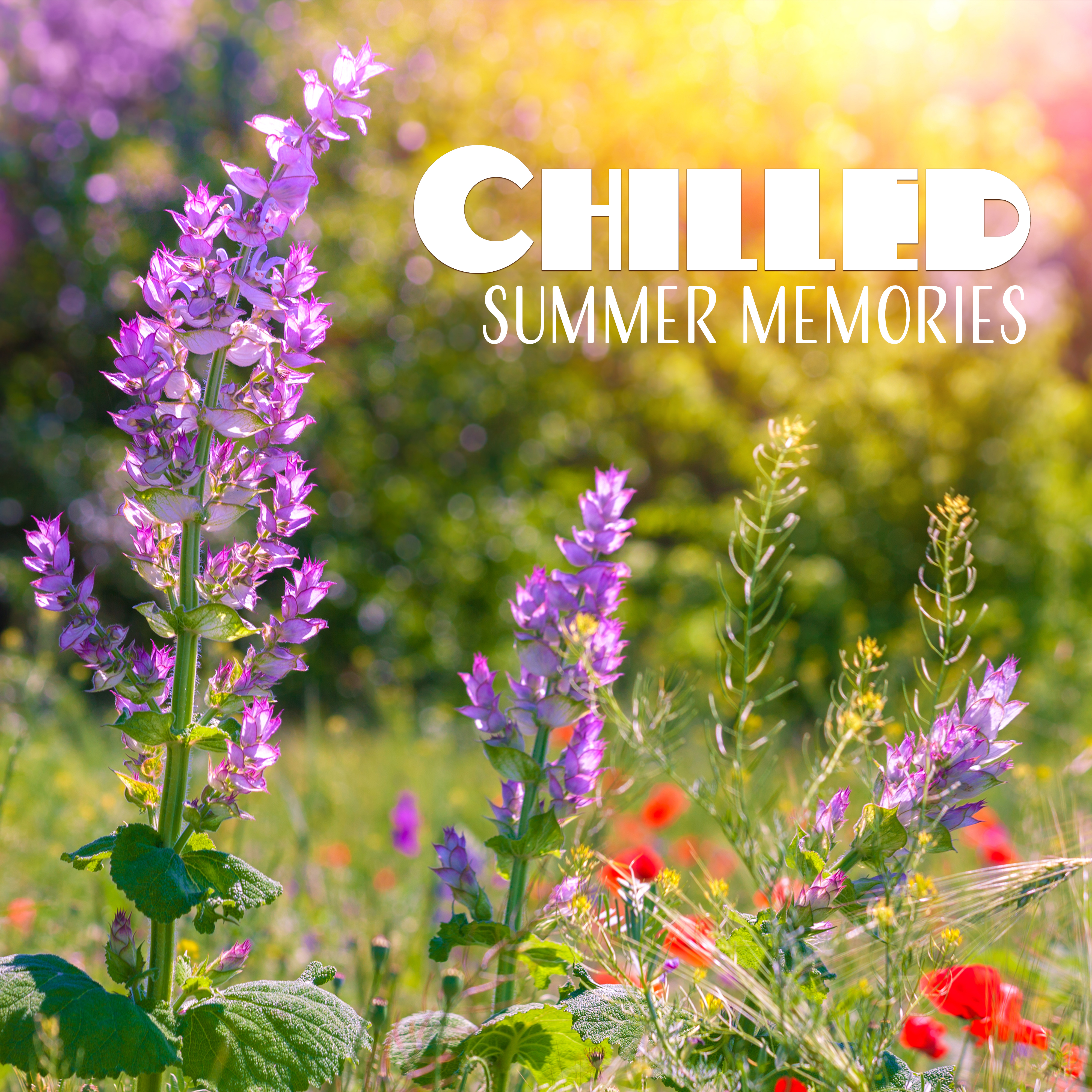 Chilled Summer Memories  Calming Sounds, Waves of Calmness, Chill Out Beats, Beach Lounge