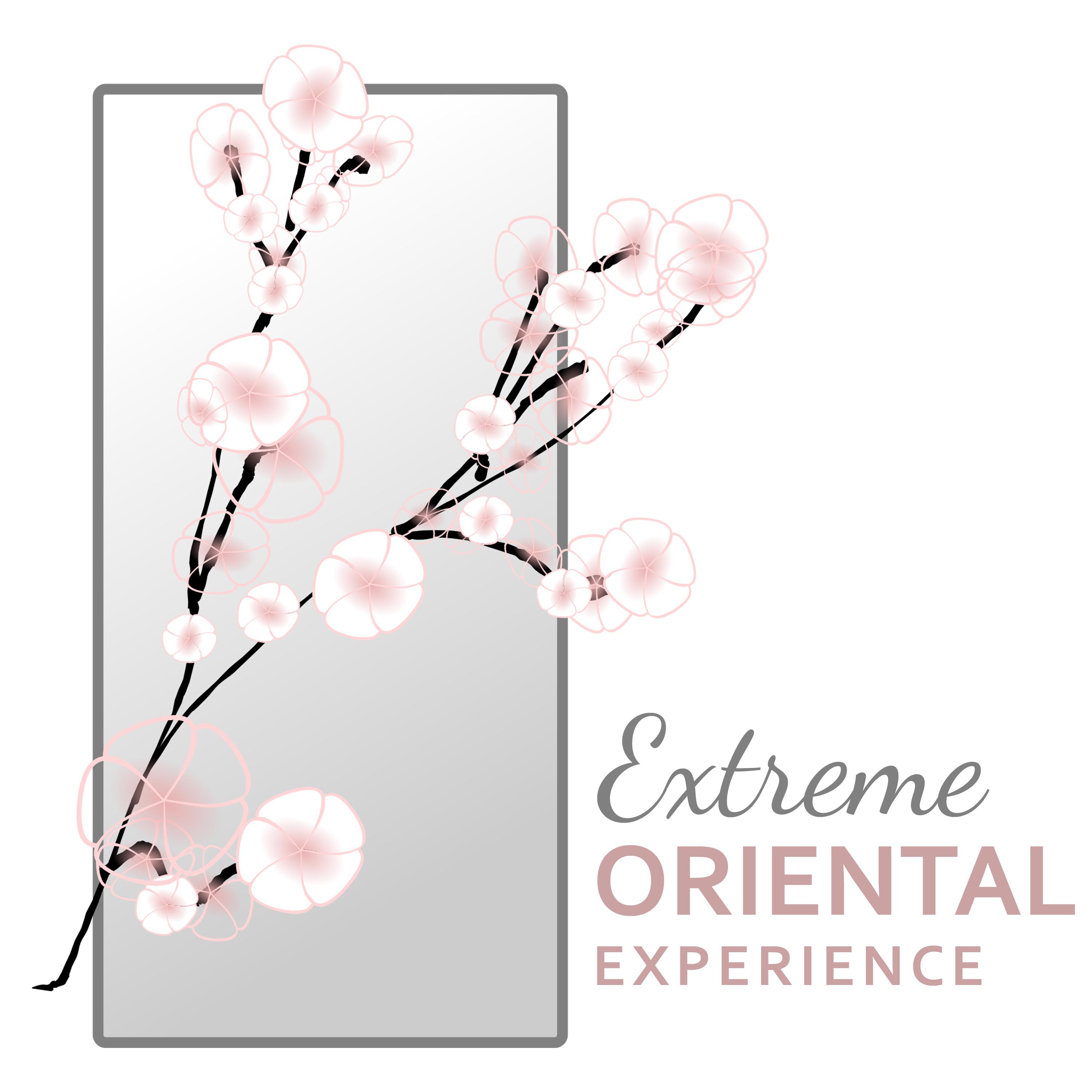 Extreme Oriental Experience (Traditional Chinese & Japanese Music with Nature, Relaxation & Meditation)