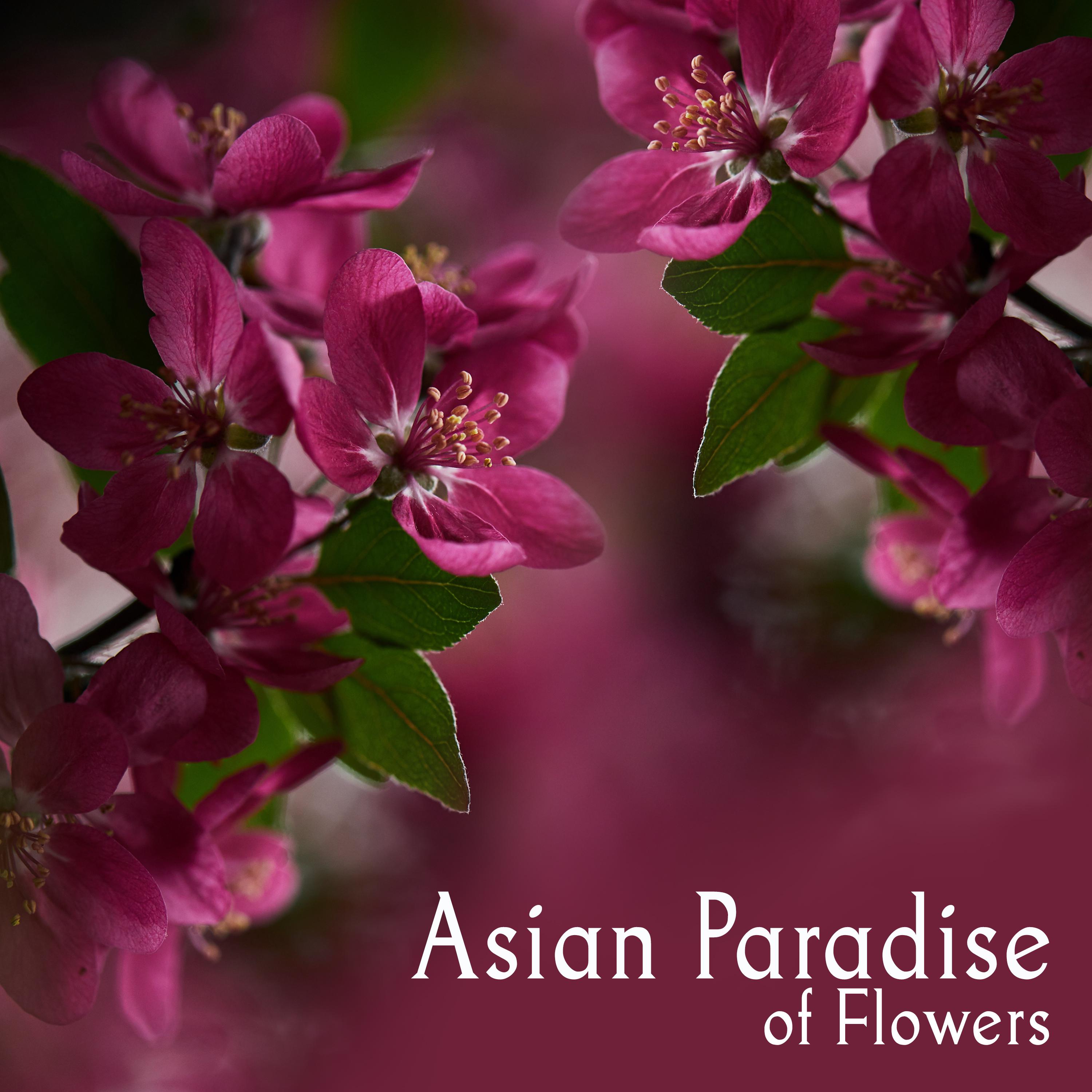 Asian Paradise of Flowers (Spiritual Path to China, Ethno Lounge Journey to Japan)