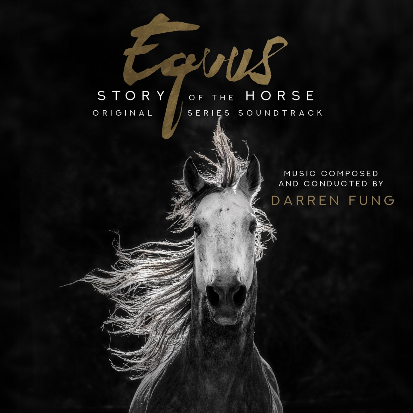 A Human Story Is a Horse Story