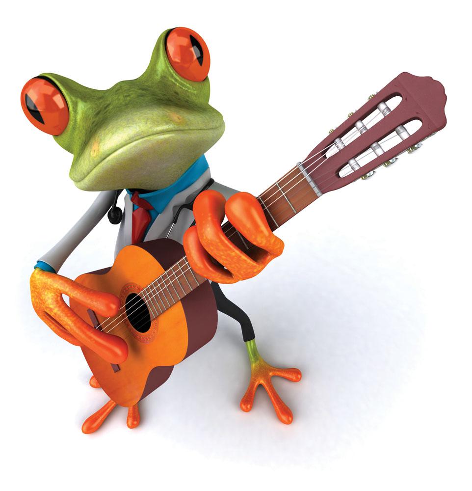 frog