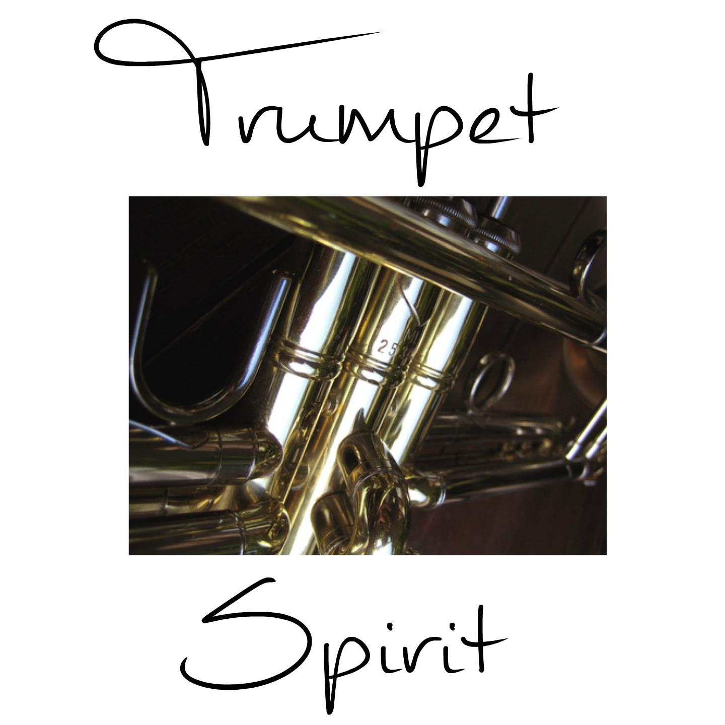 Concerto for Trumpet, Brass Ensemble and Percussion: III. Allegro