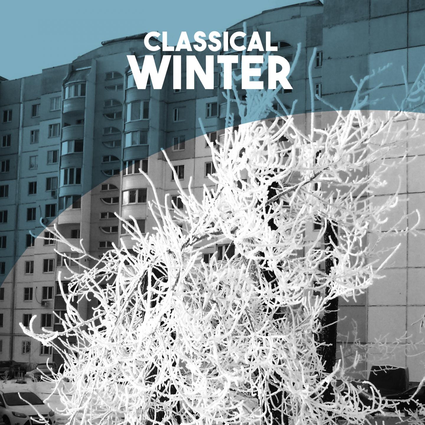 The Seasons, Op.37A, Th 135: XII. December. Christmas. Tempo Di Valse