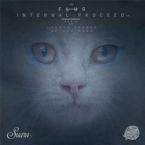 Internal Proceed (Original Mix)