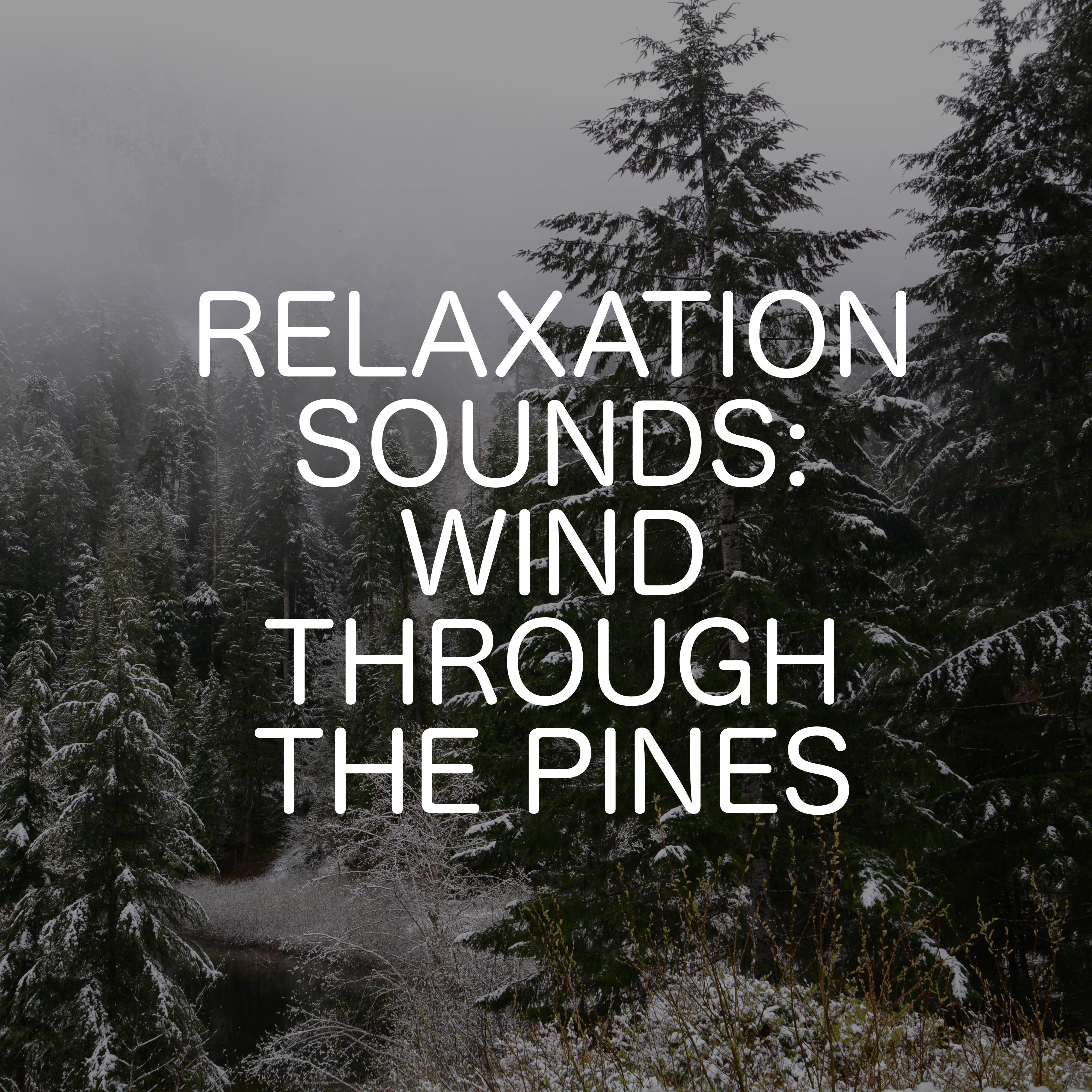 Relaxation Sounds: Wind Through The Pines