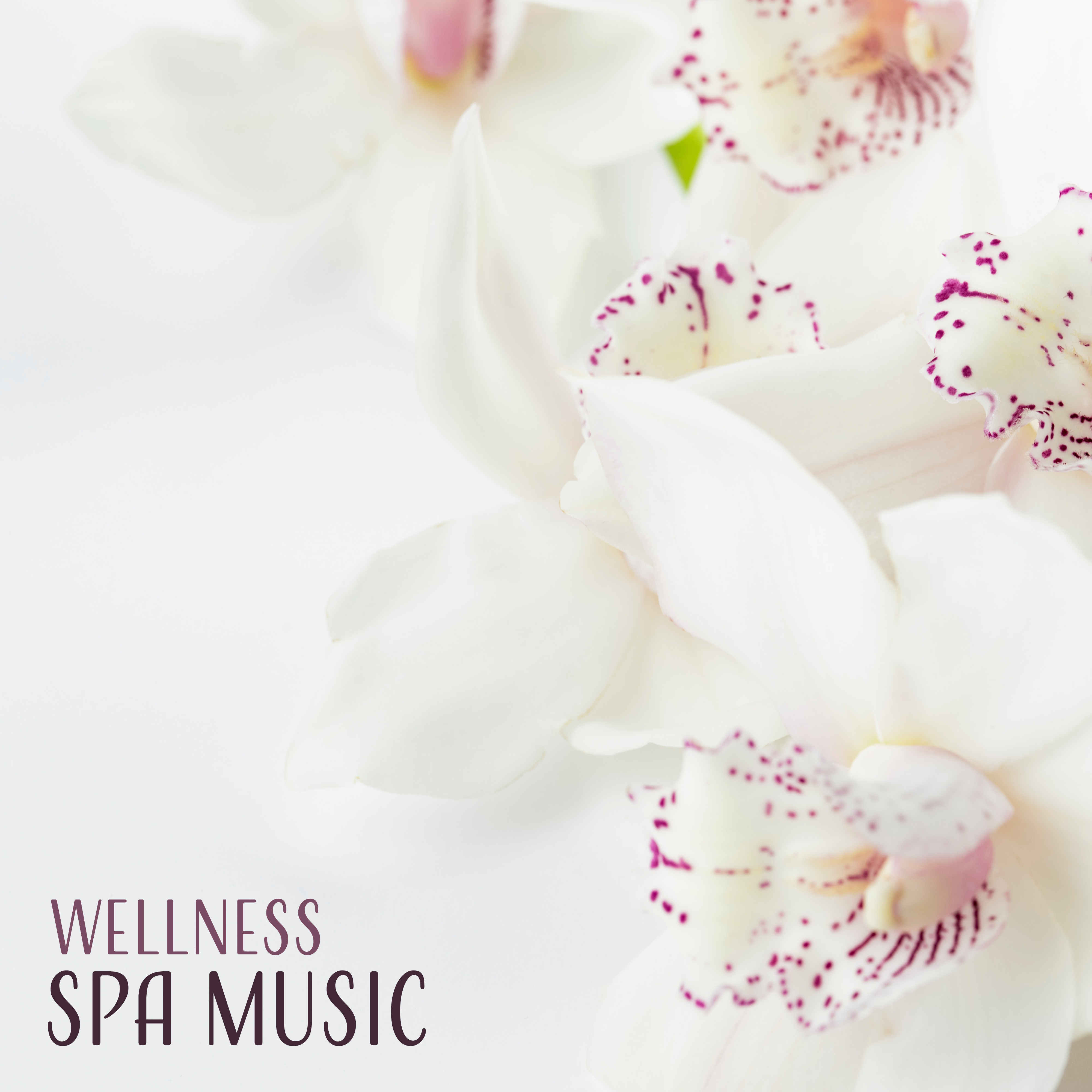 Wellness Spa Music