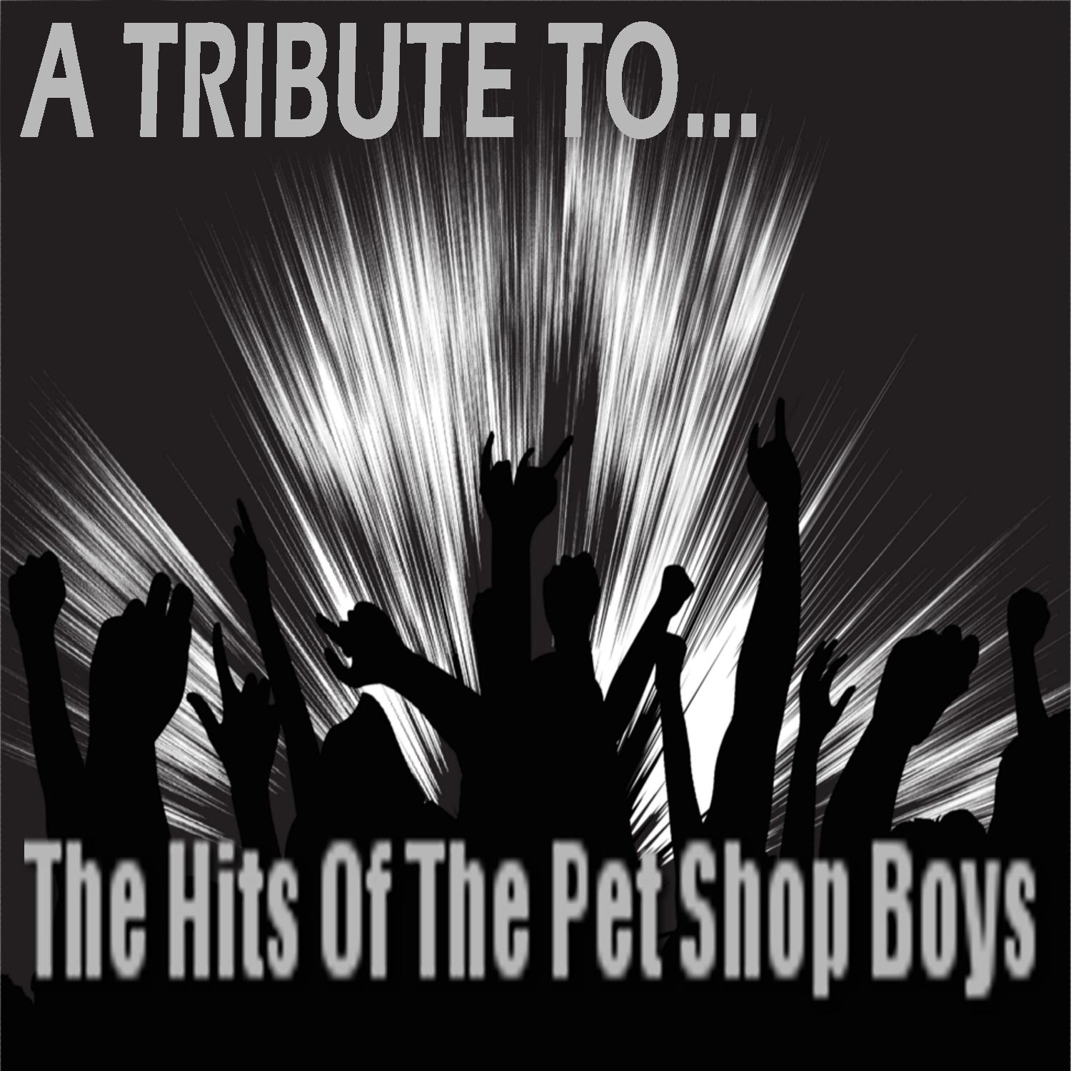 A Tribute To The Hits Of The Pet Shop Boys