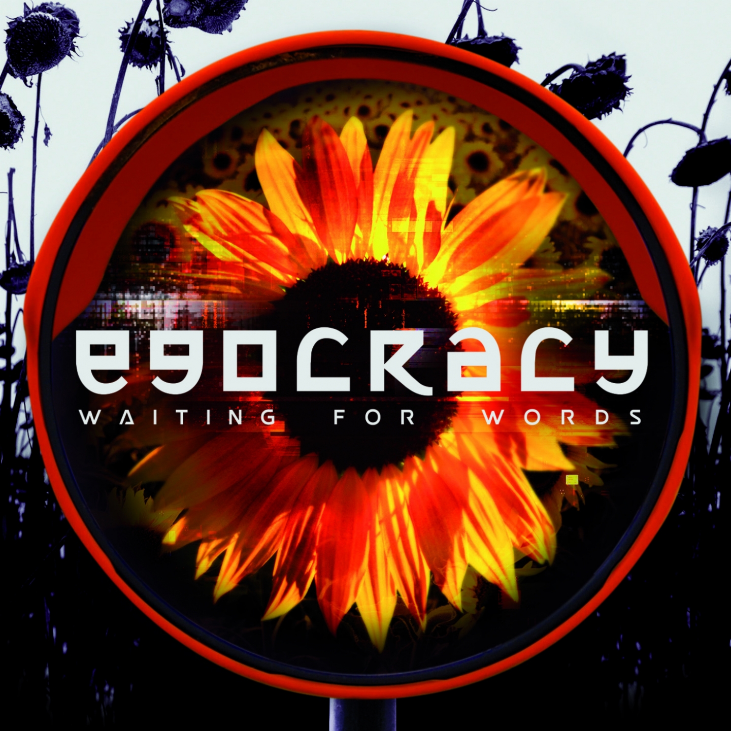 Egocracy