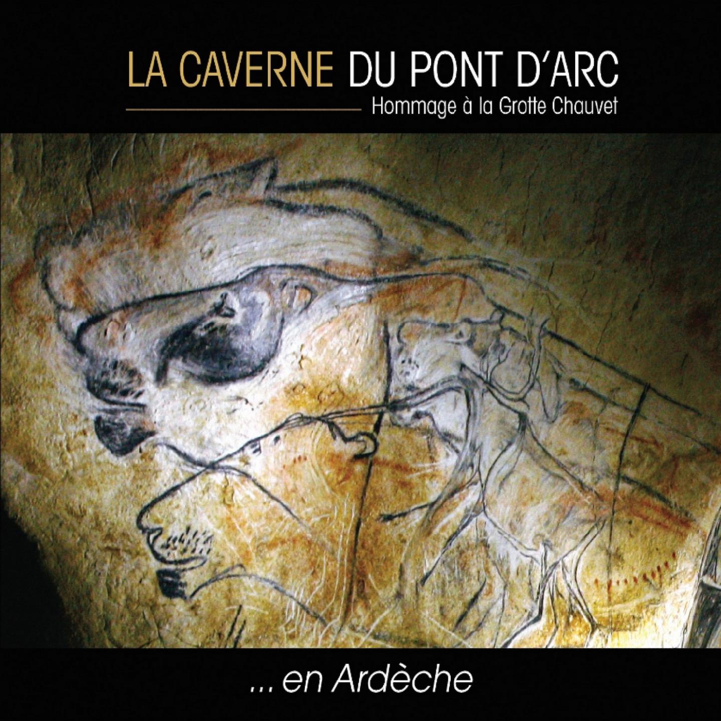 La caverne du Pontd' Arc Hommage a la grotte Chauvet en Arde che