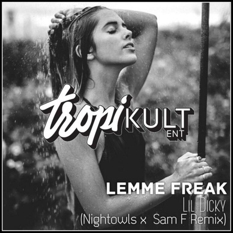 Lemme Freak (NIGHTOWLS x SAM F Remix)