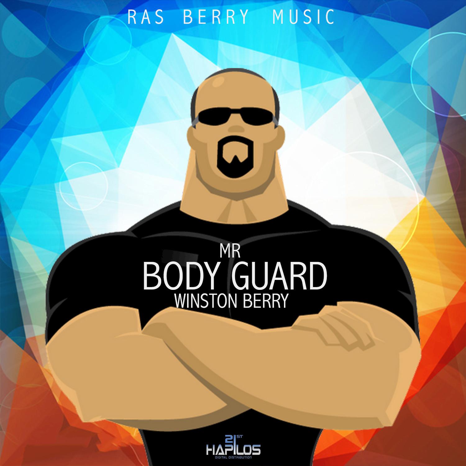 Mr Body Guard