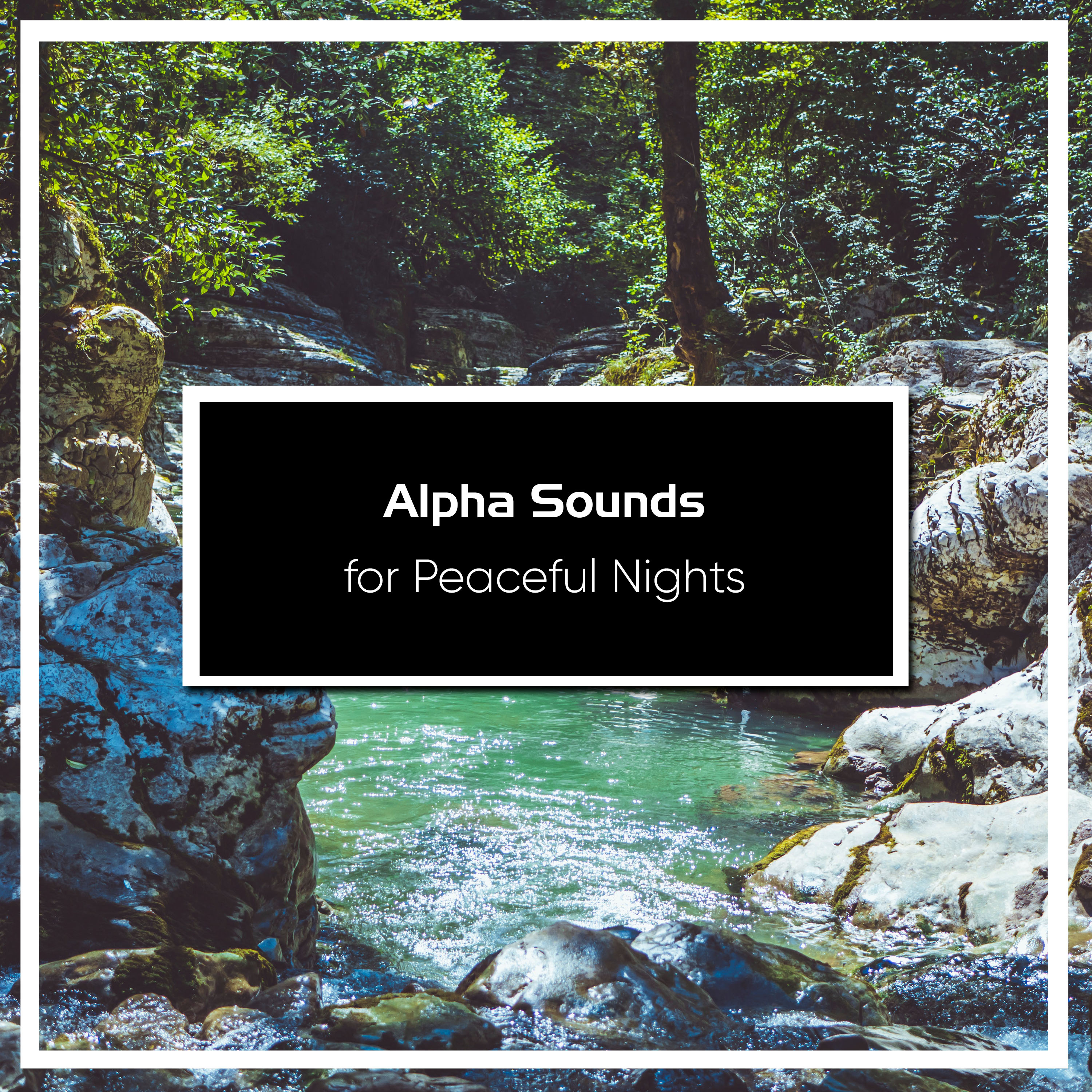 20 Hypnotic Sounds for a Zen Life