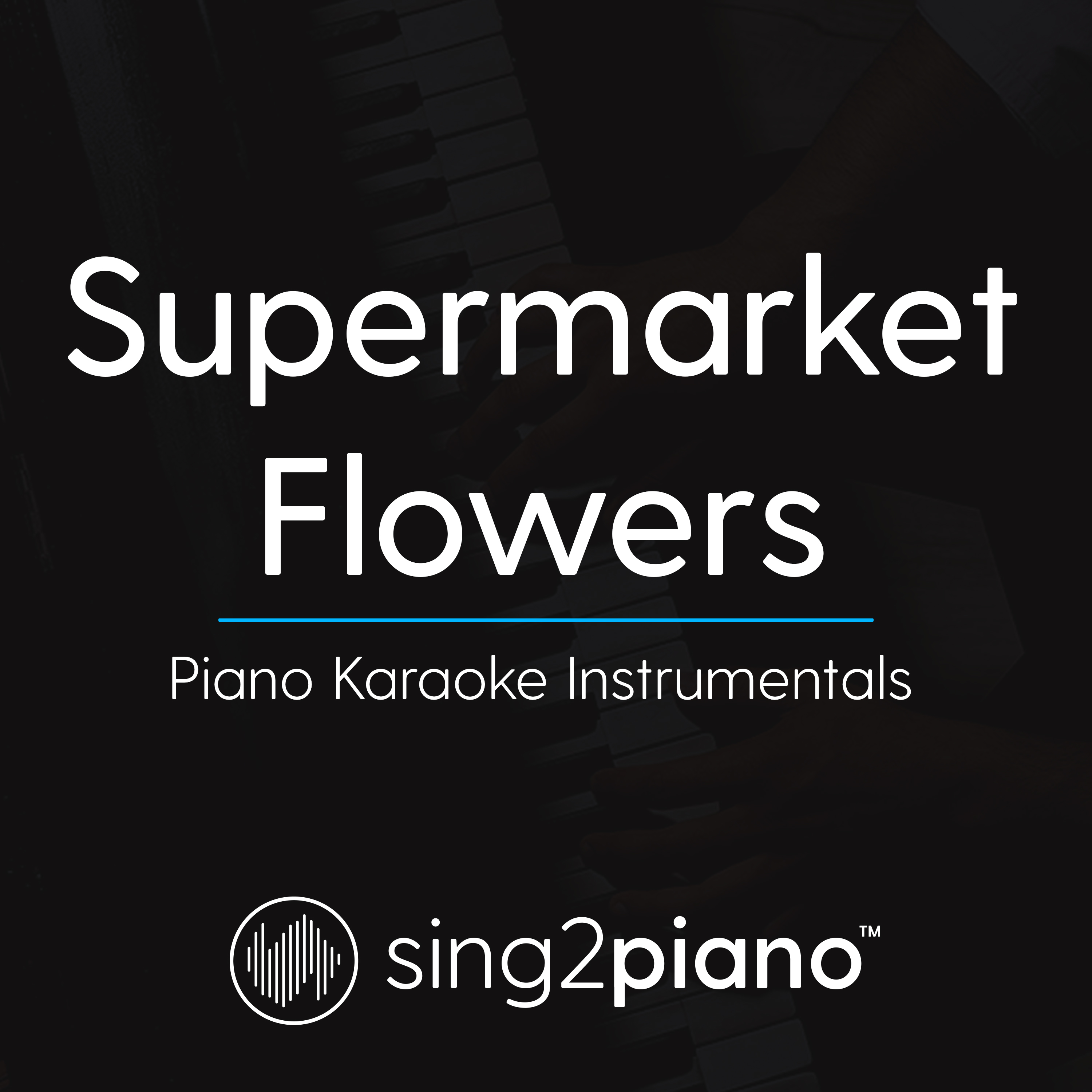 Supermarket Flowers (Higher Key) [Originally Performed By Ed Sheeran] [Piano Karaoke Version]