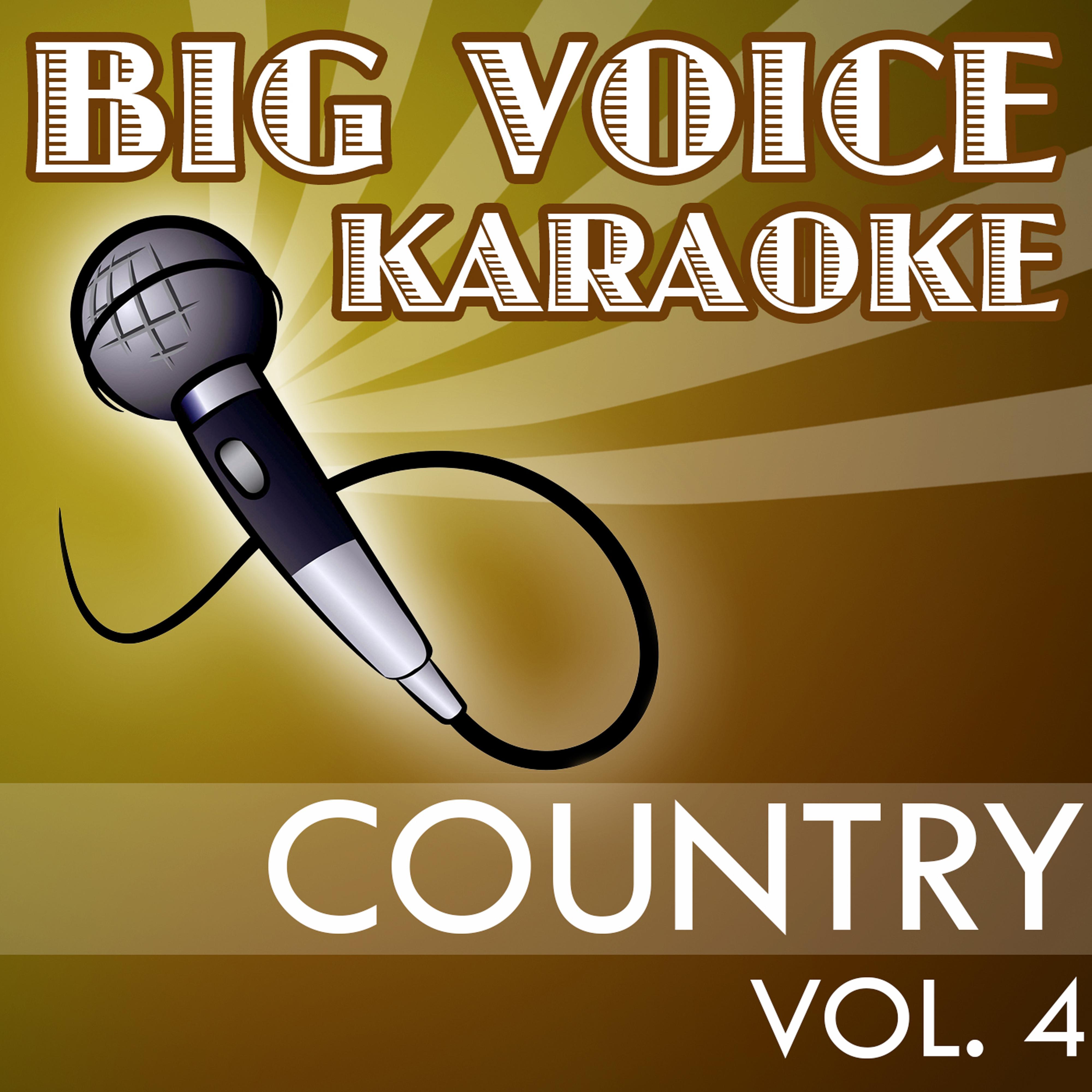 Karaoke Country Hits - Backing Tracks for Singers, Vol. 4