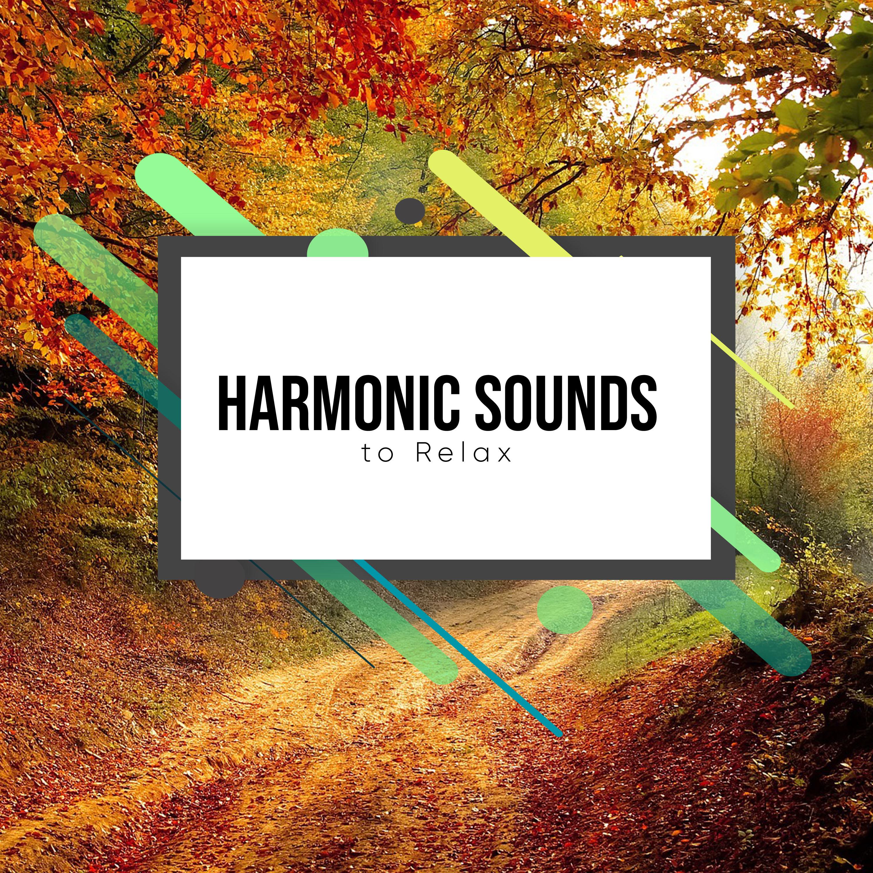 #1 Hour Harmonic Sounds to Relax