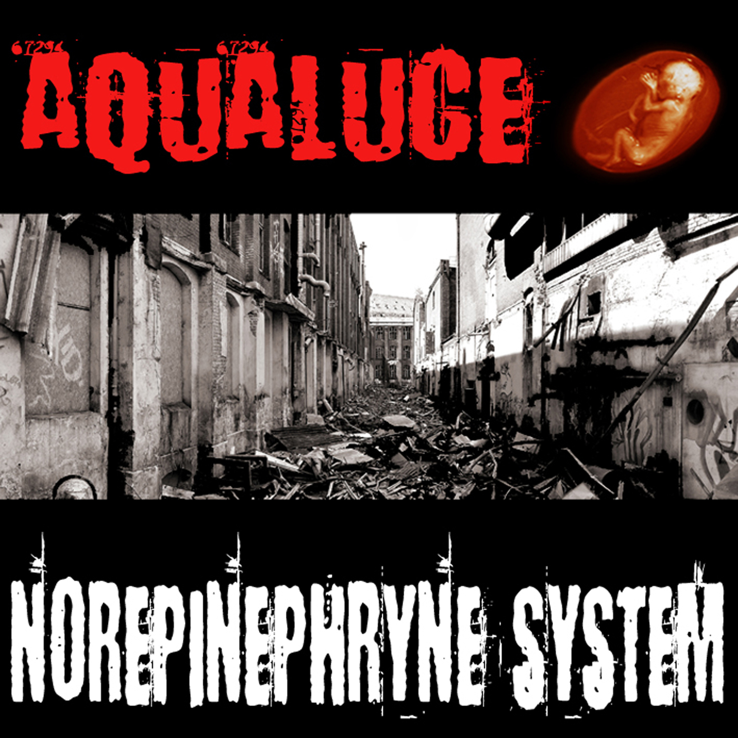 Norepinephrine System (Baba Remix)