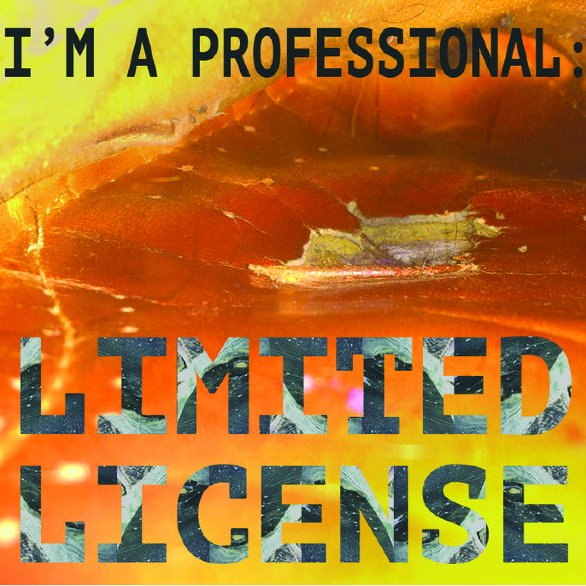 I'm a Professional: Limited License