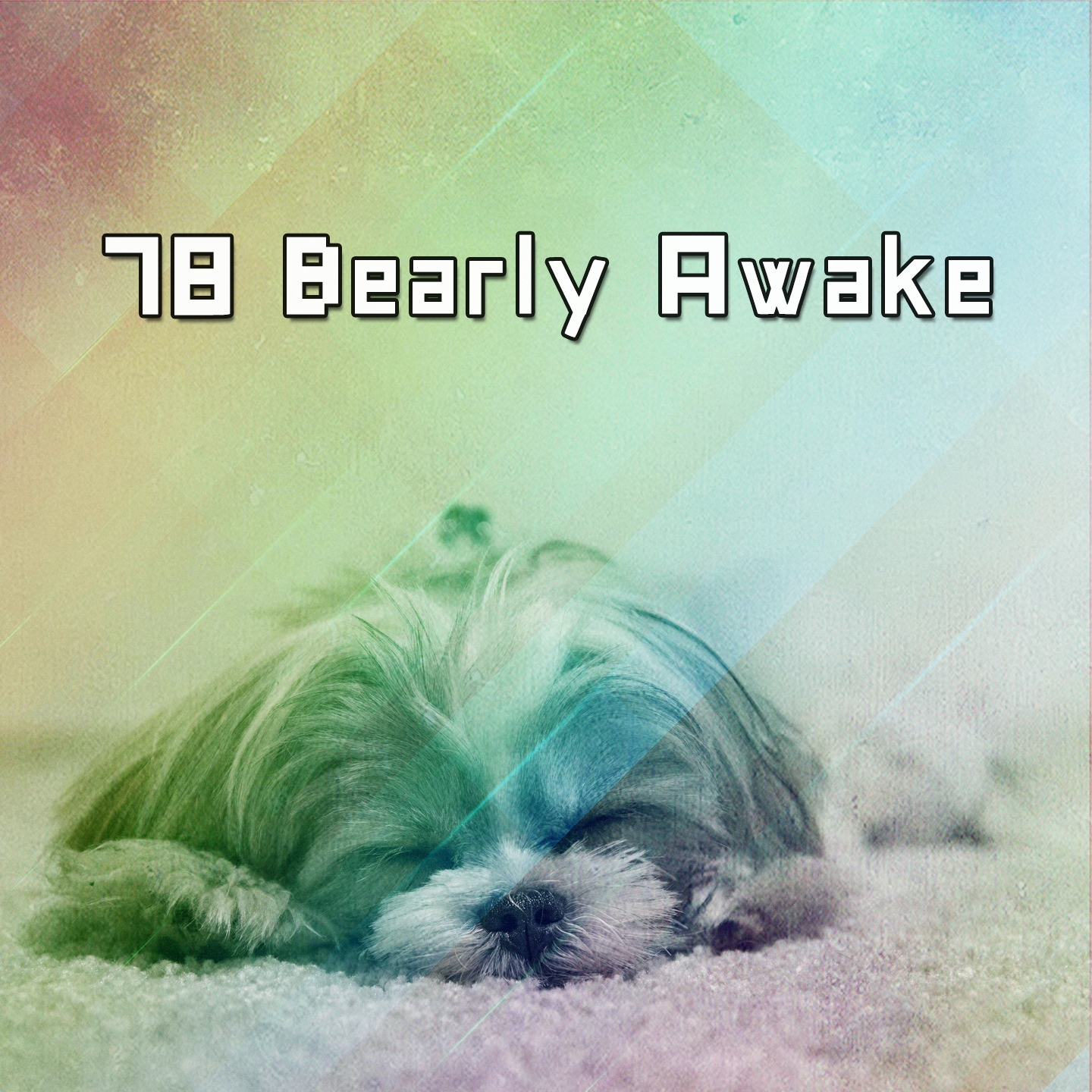 78 Bearly Awake