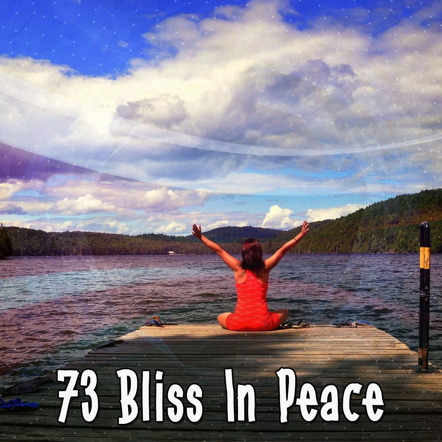 73 Bliss In Peace