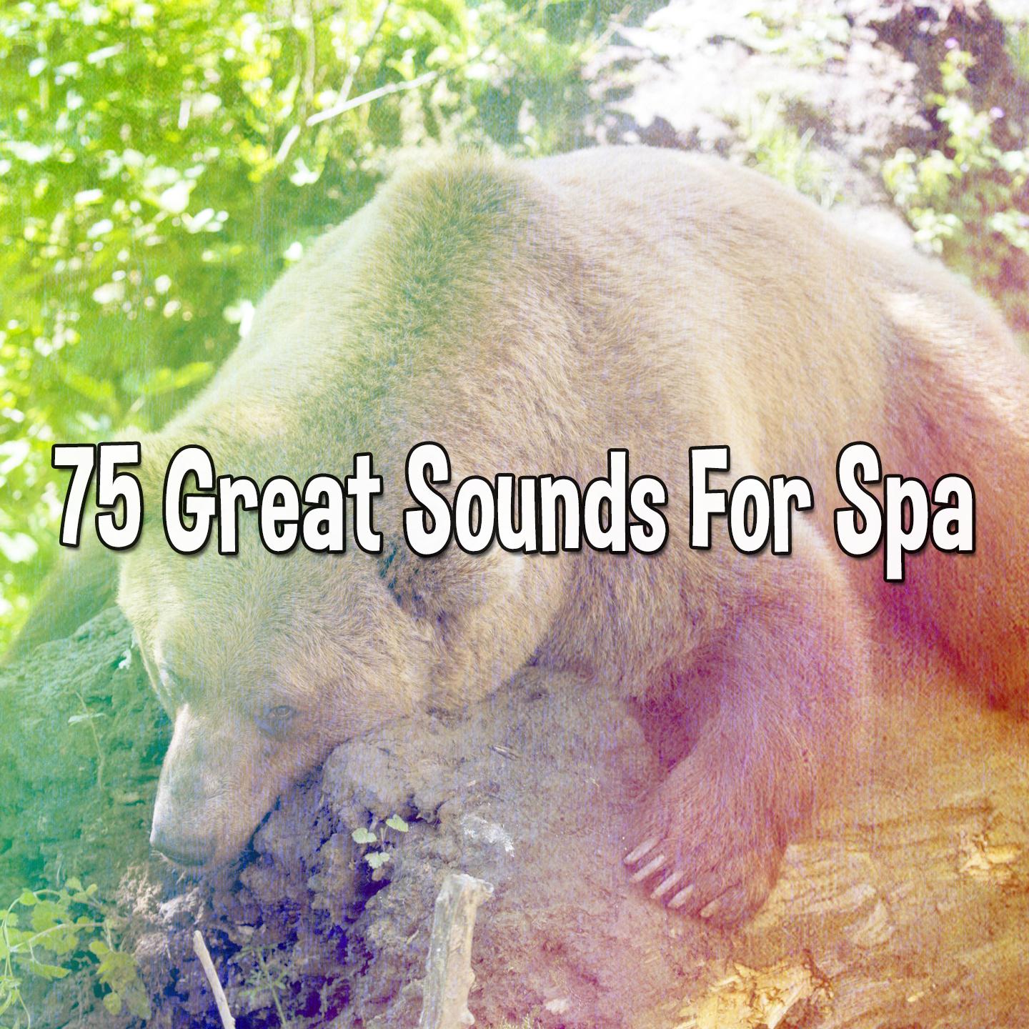 75 Great Sounds For Spa
