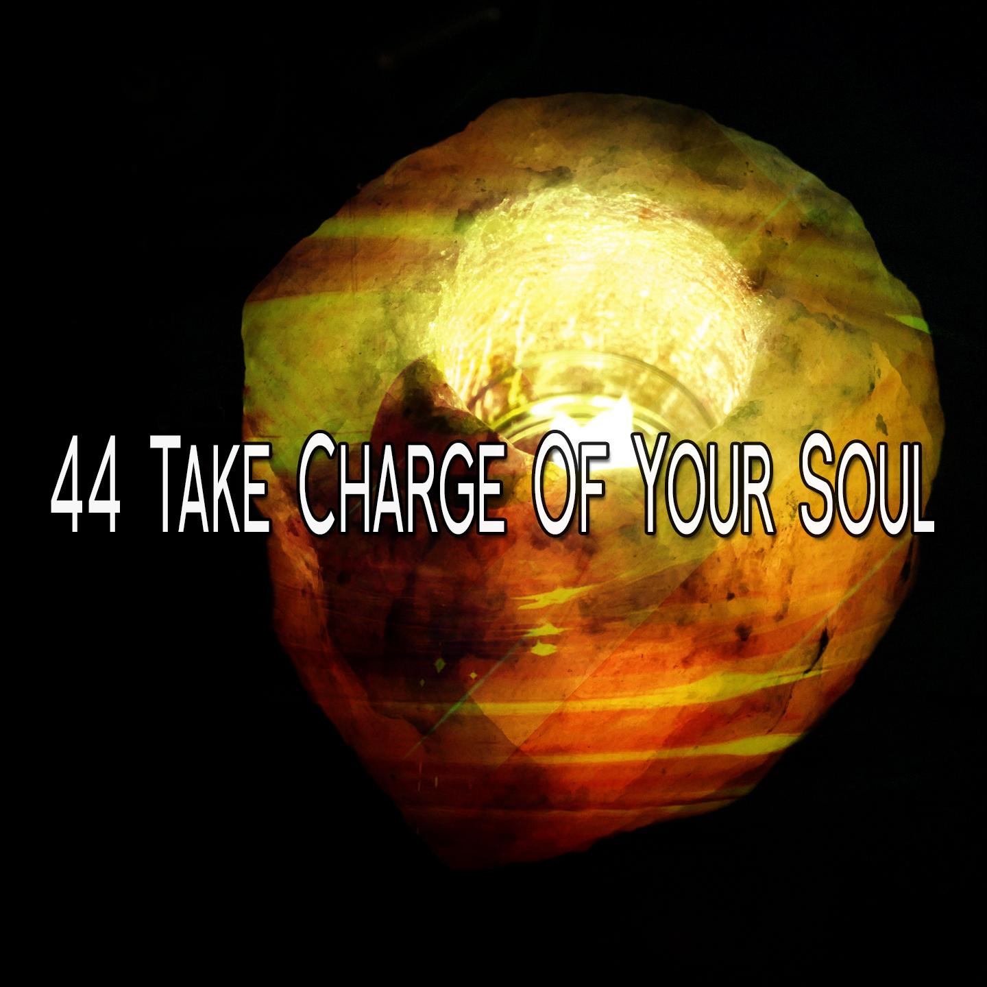 44 Take Charge Of Your Soul