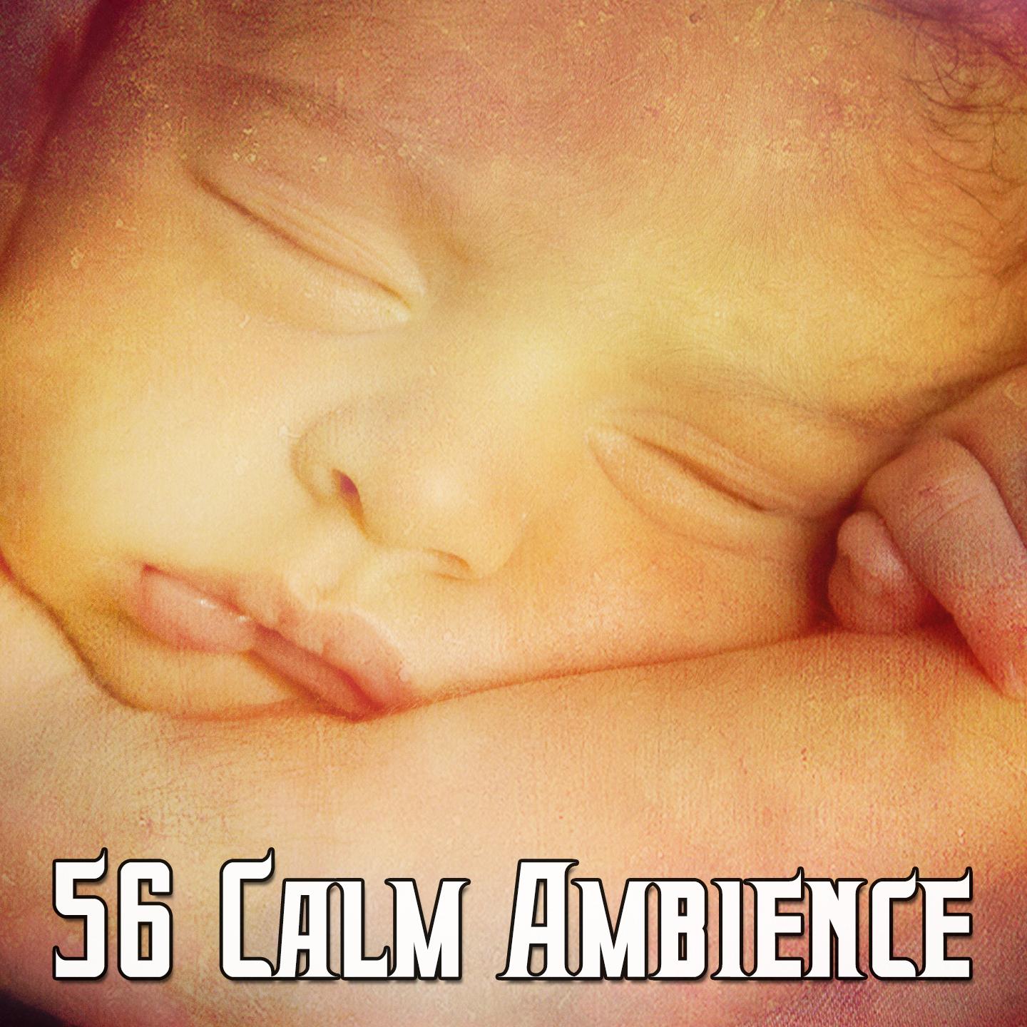 56 Calm Ambience