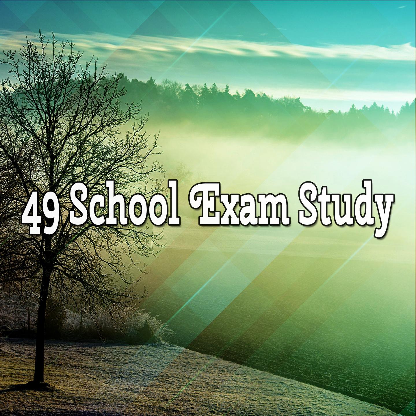 49 School Exam Study