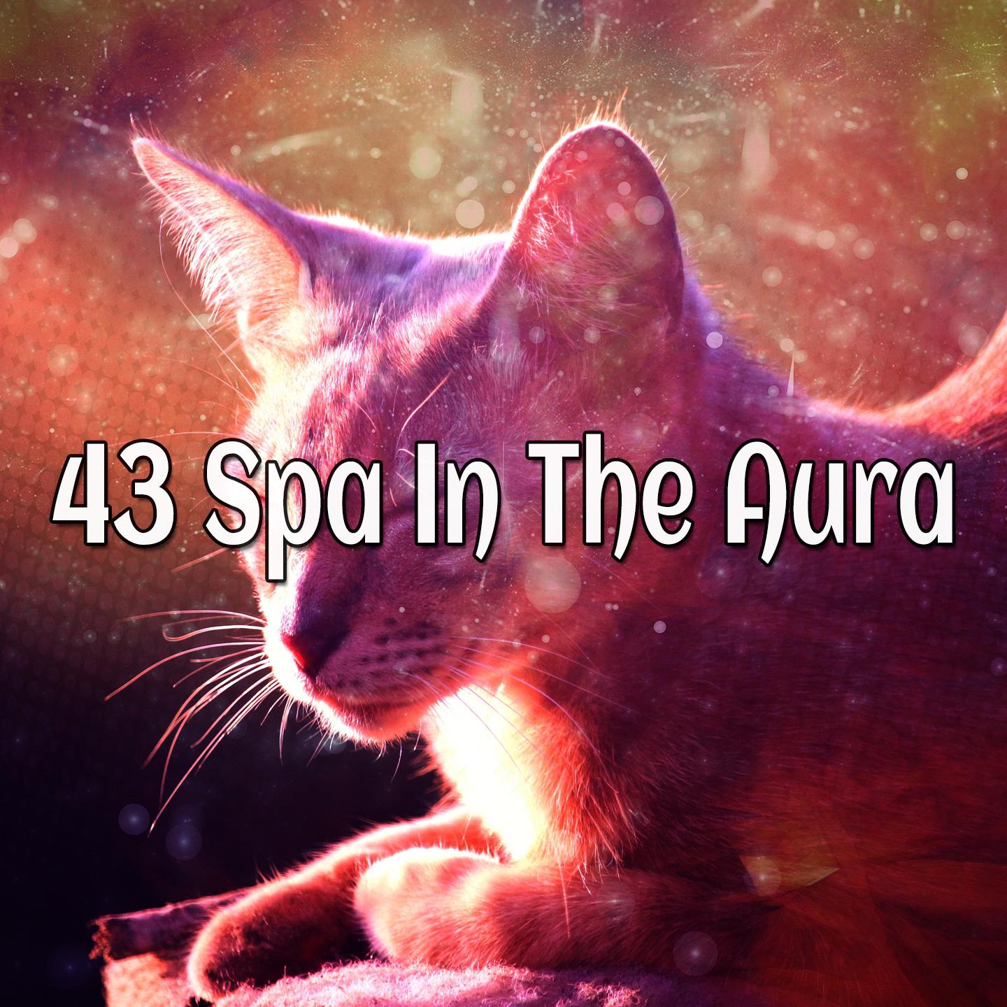 43 Spa In The Aura