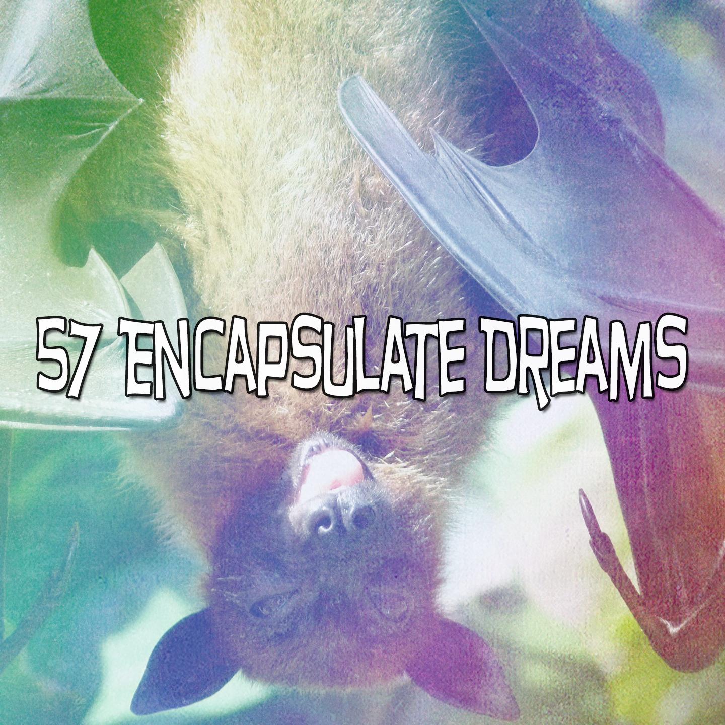 57 Encapsulate Dreams