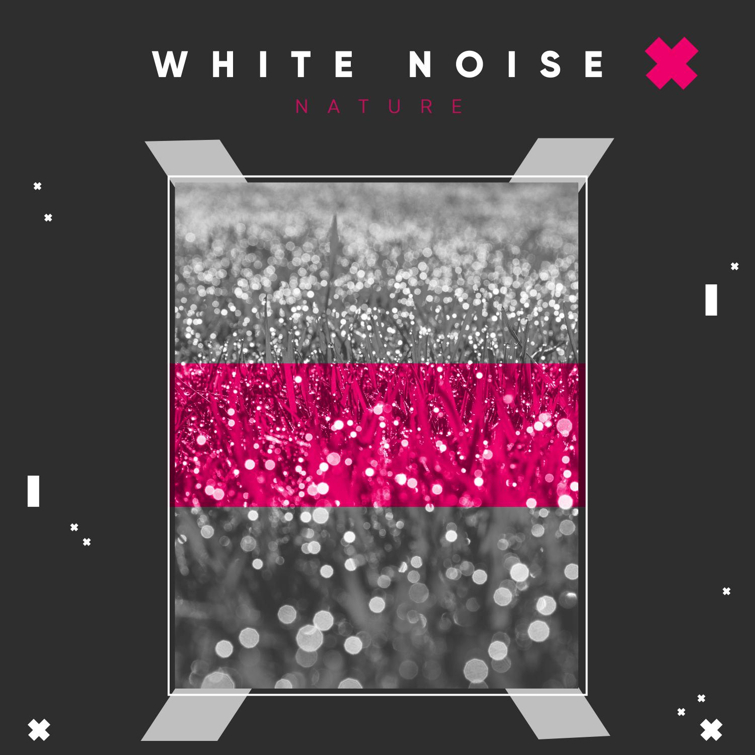 18 White Noise & Nature Sounds