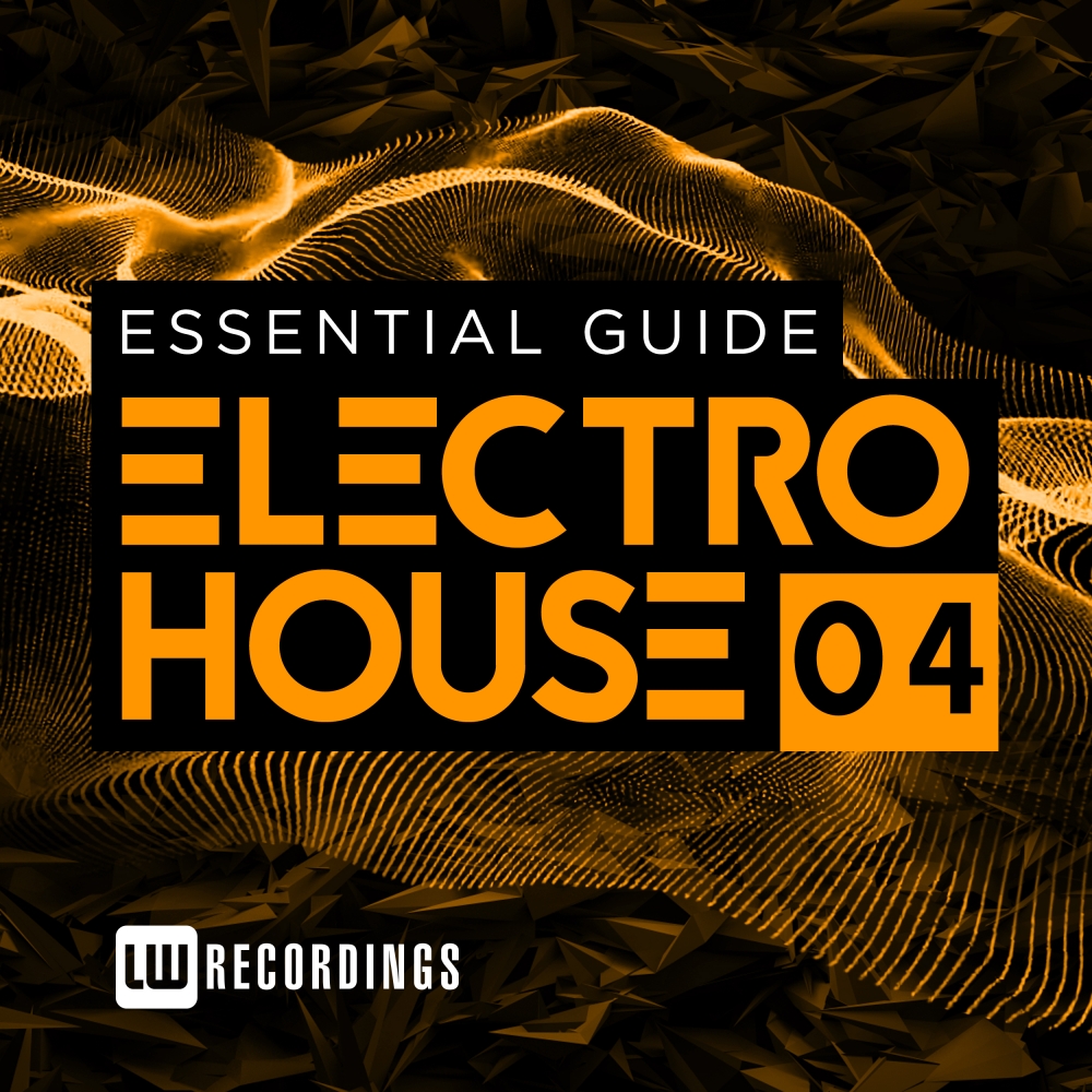 Essential Guide: Electro House, Vol. 4