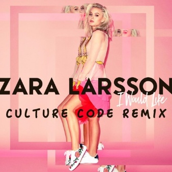 I Would Like (Culture Code Remix)