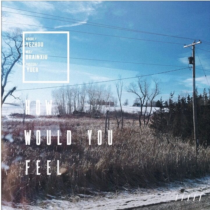 How  Would  You  Feel Cover Ed Sheeran