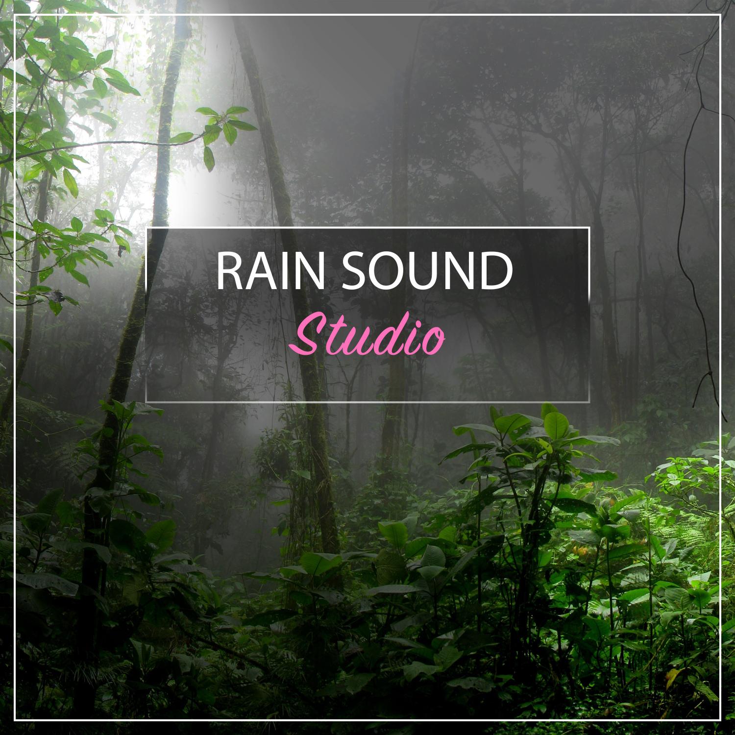 12 Tracks from the Rain Sound Studio - Rain and Nature Sounds