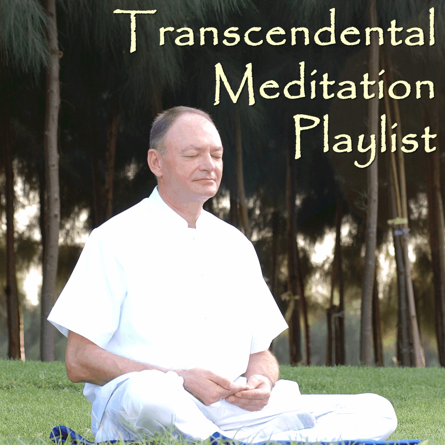 Transcendental Meditation Playlist