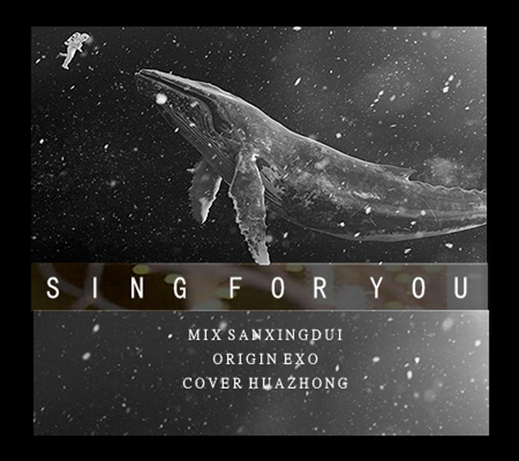 Sing For You