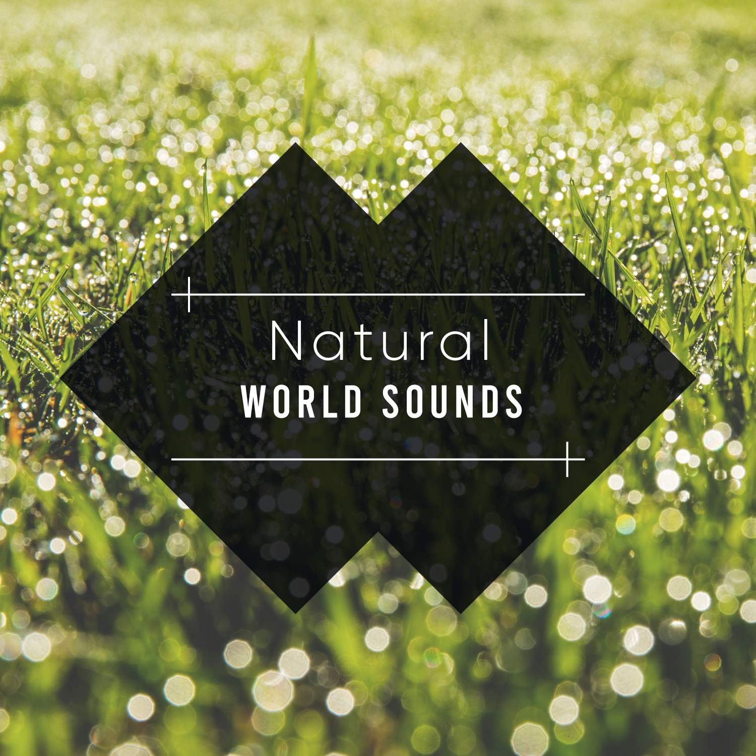 16 Natural World Sounds: Rain & Heavy Thunderstorms