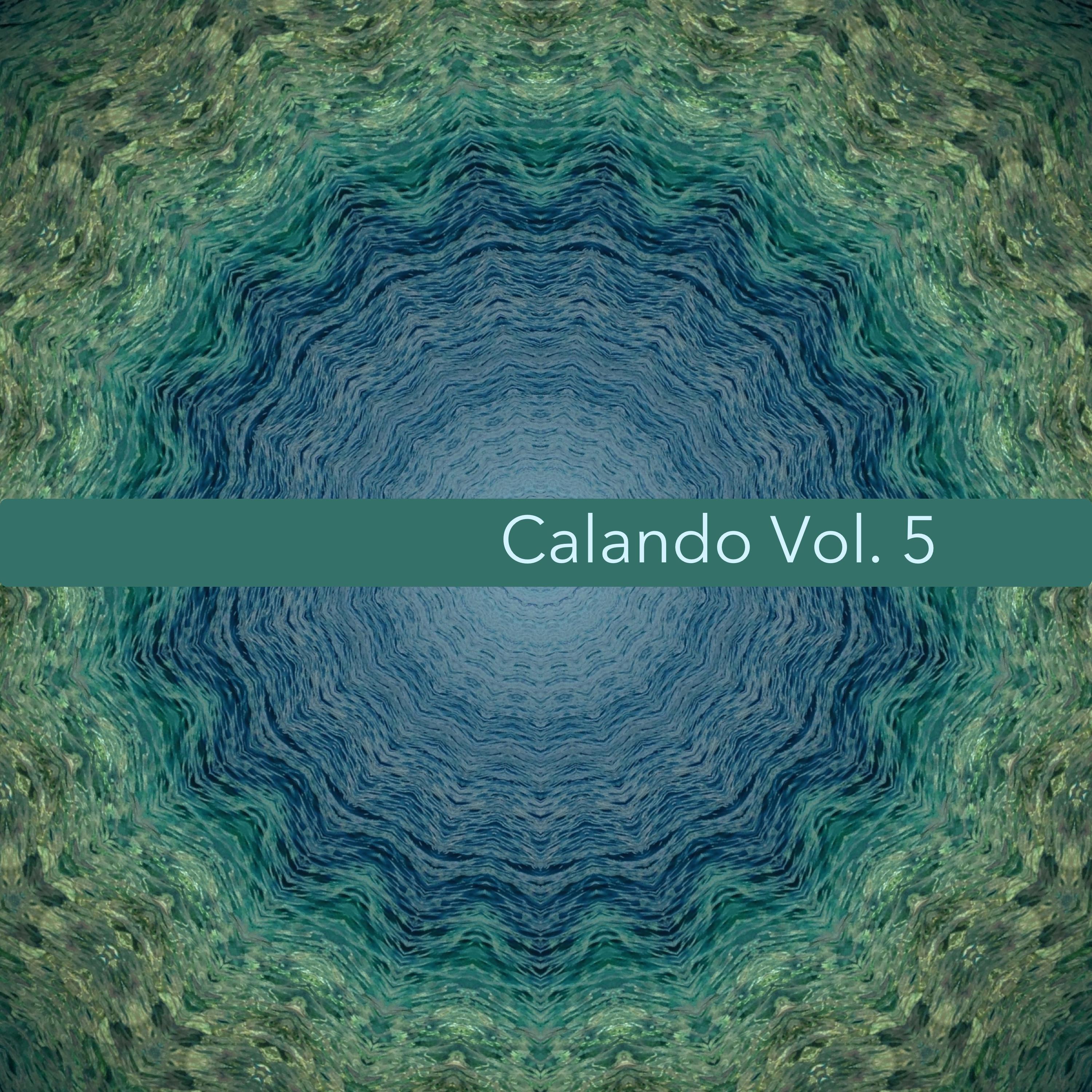 Calando - Musica Elettronica, Vol. 5