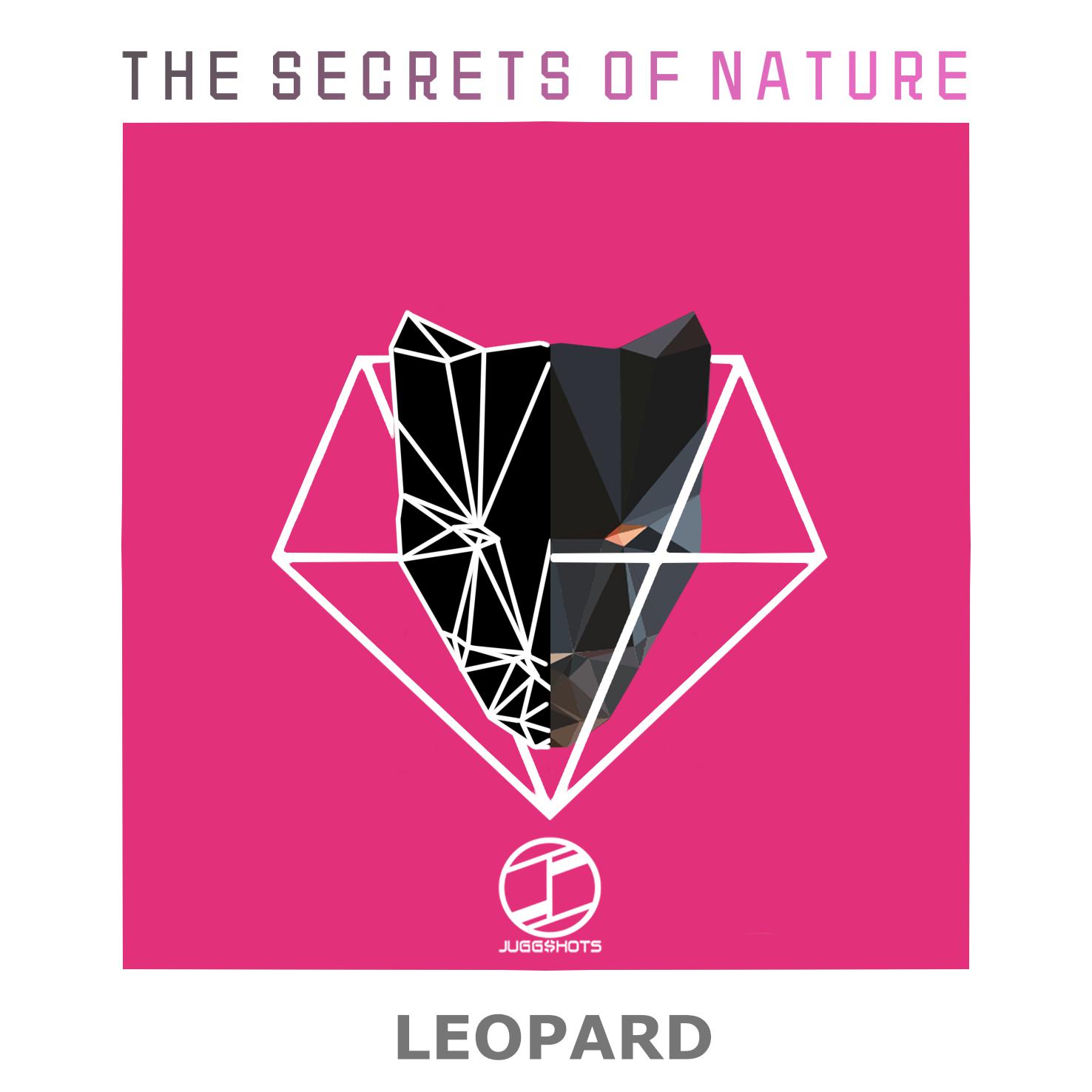 Leopard Original  Mix