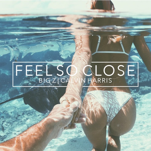 Feel So Close (Big Z Remix) 