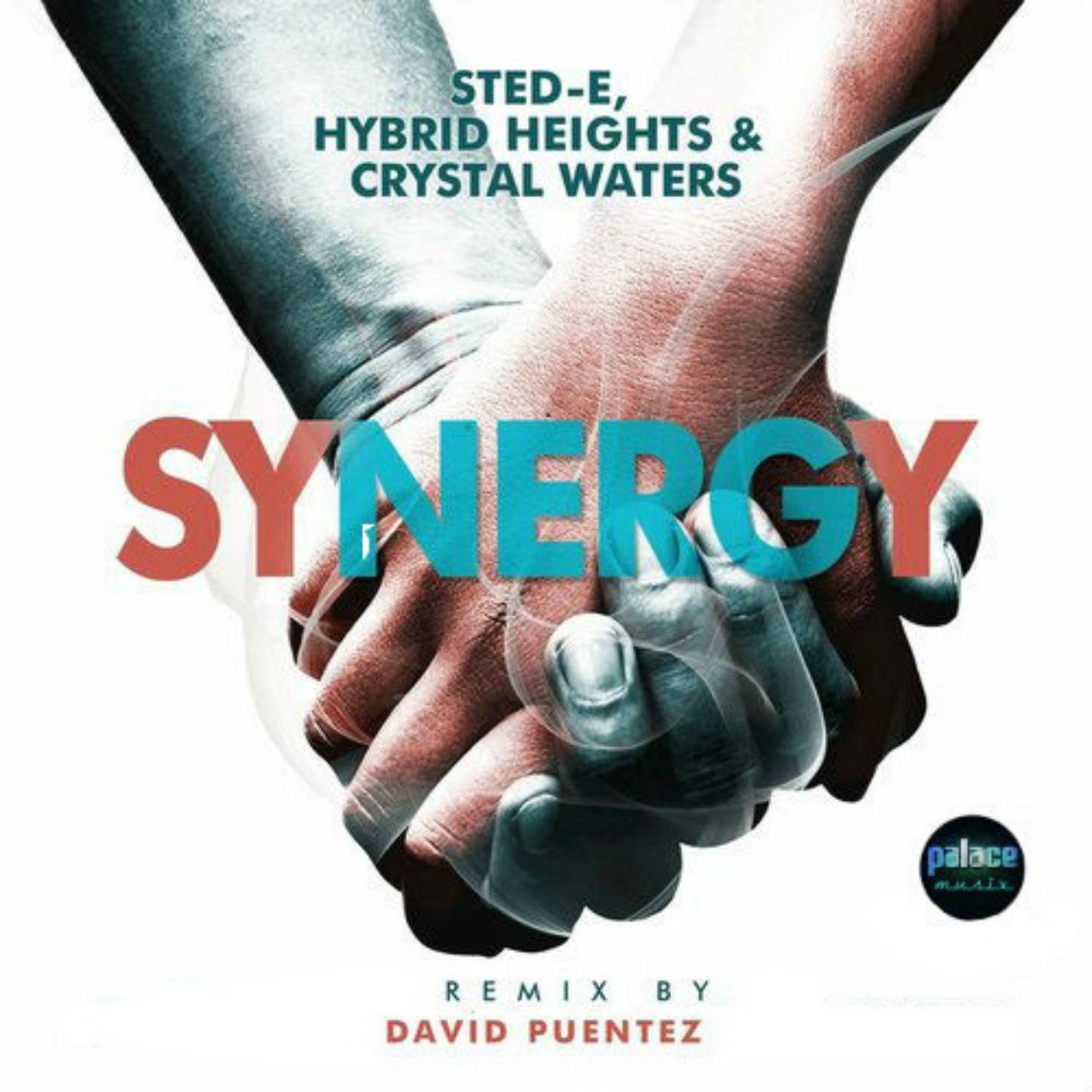 Synergy (David Puentez RMX)