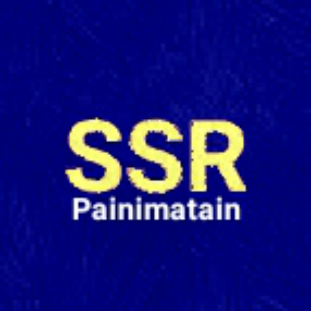 SSR(Prod.by Painimatain)