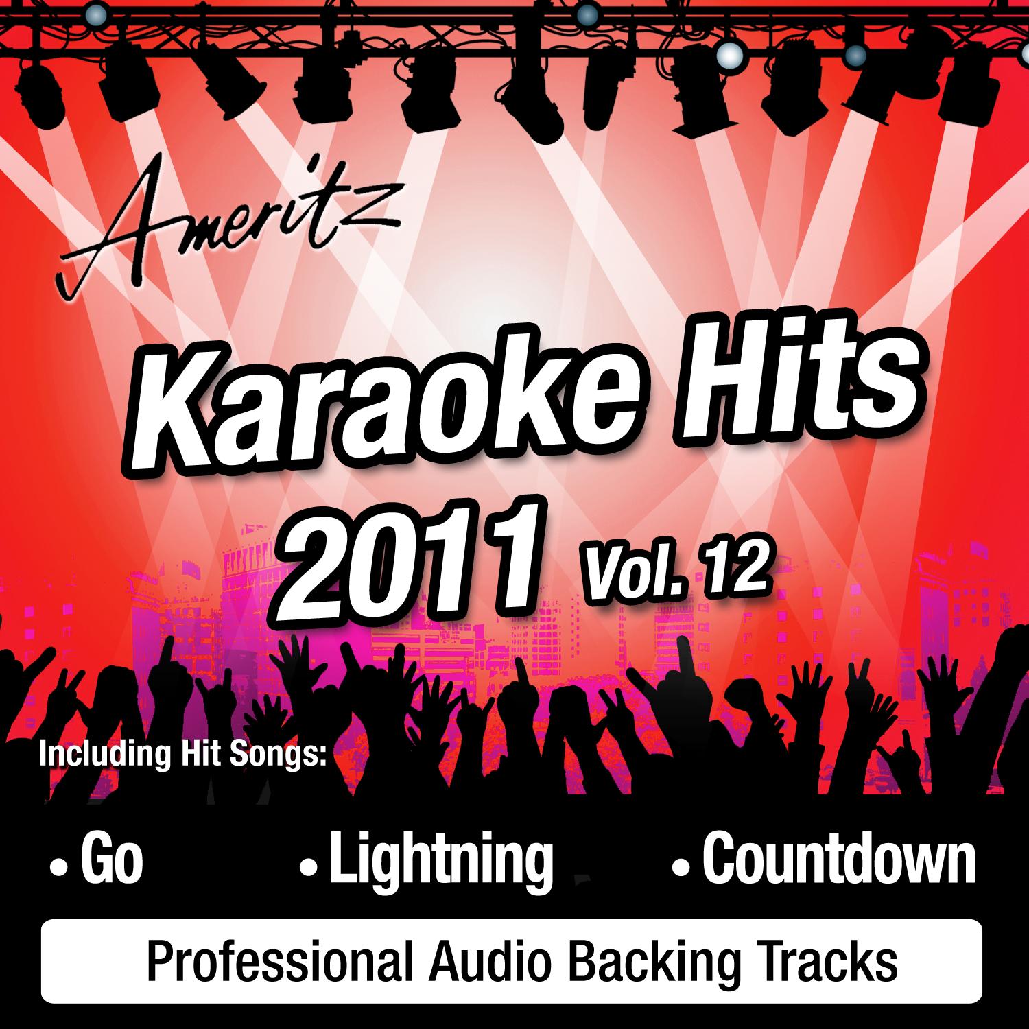Karaoke Hits 2011 Vol. 12