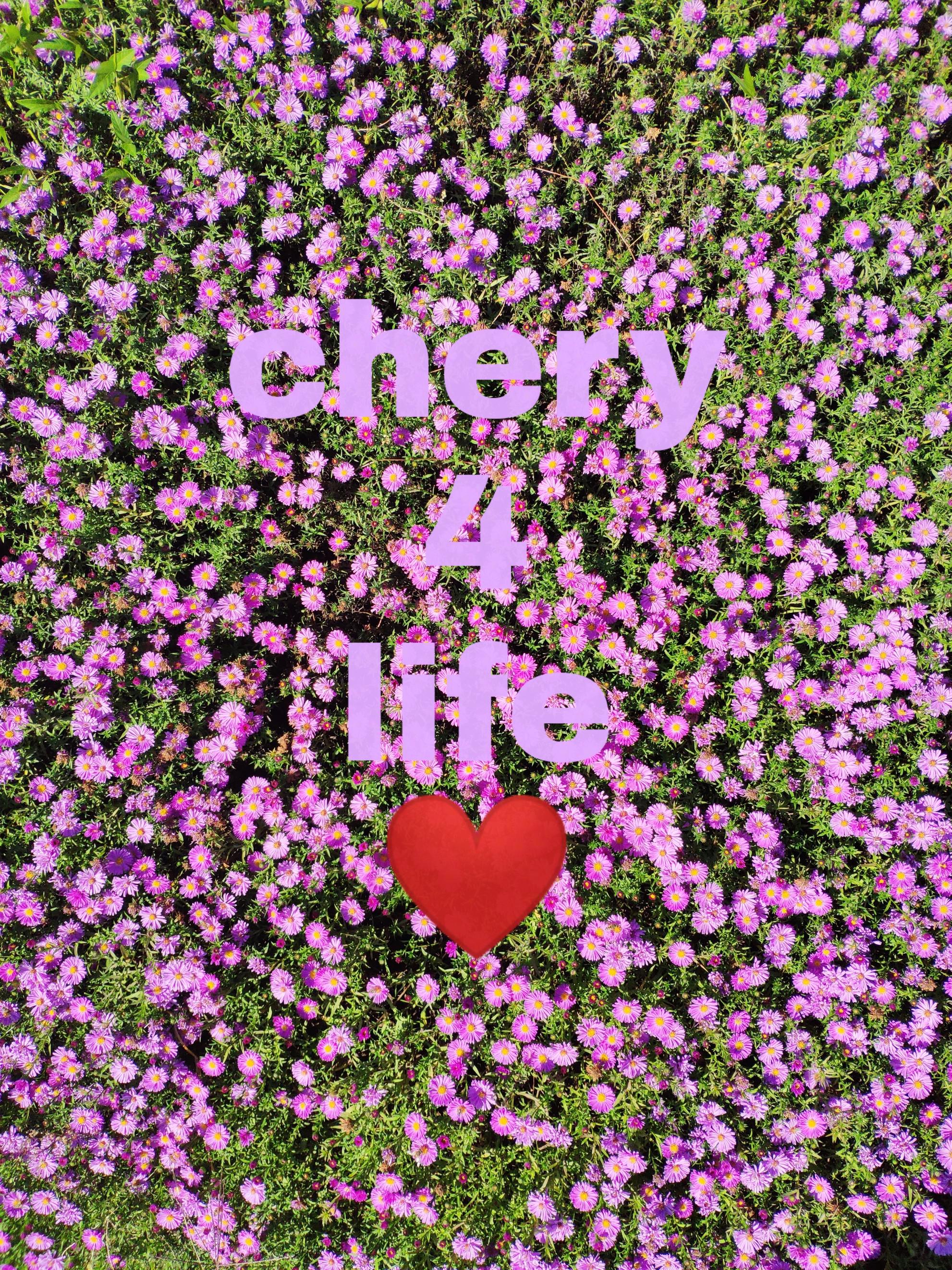 chery4life