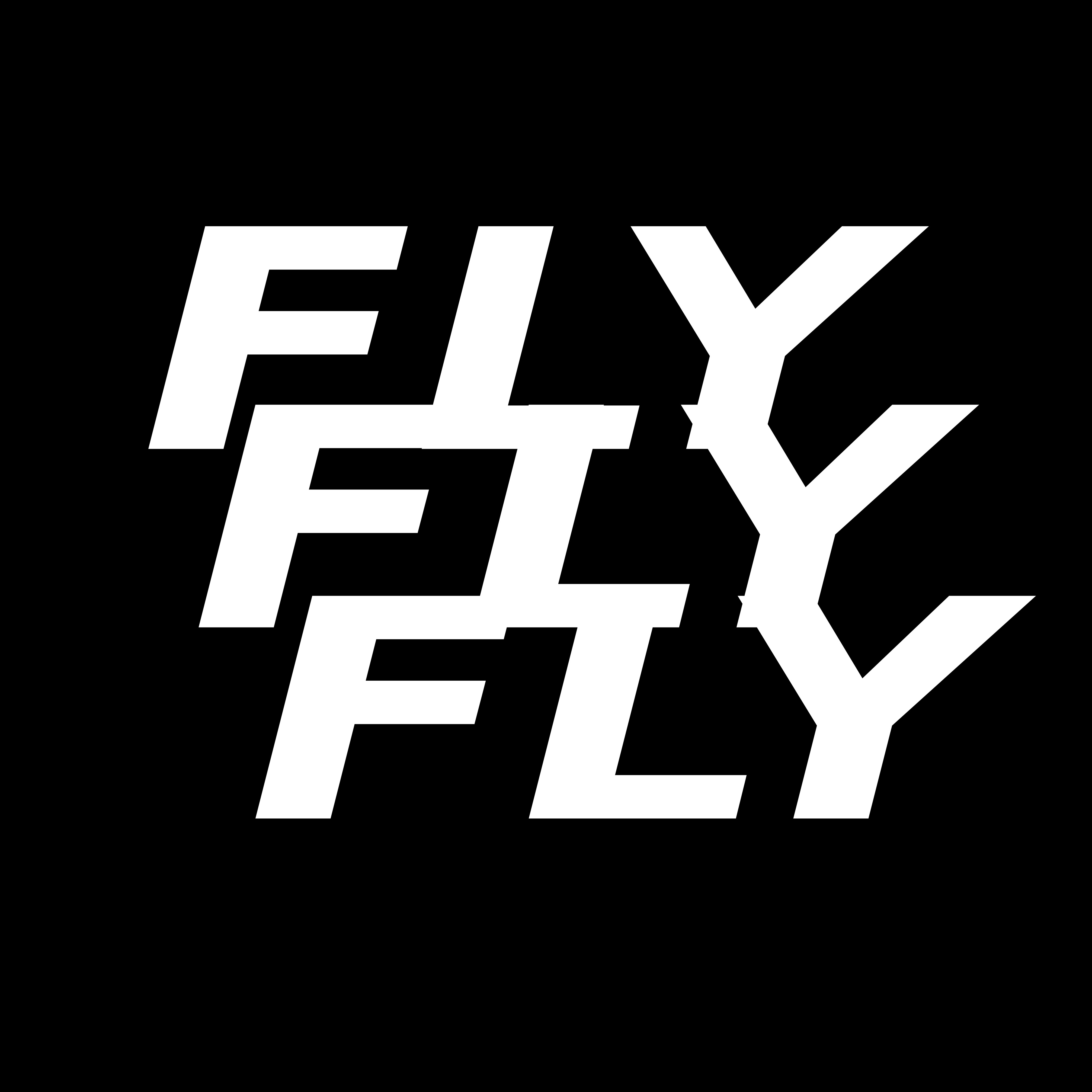 Fly