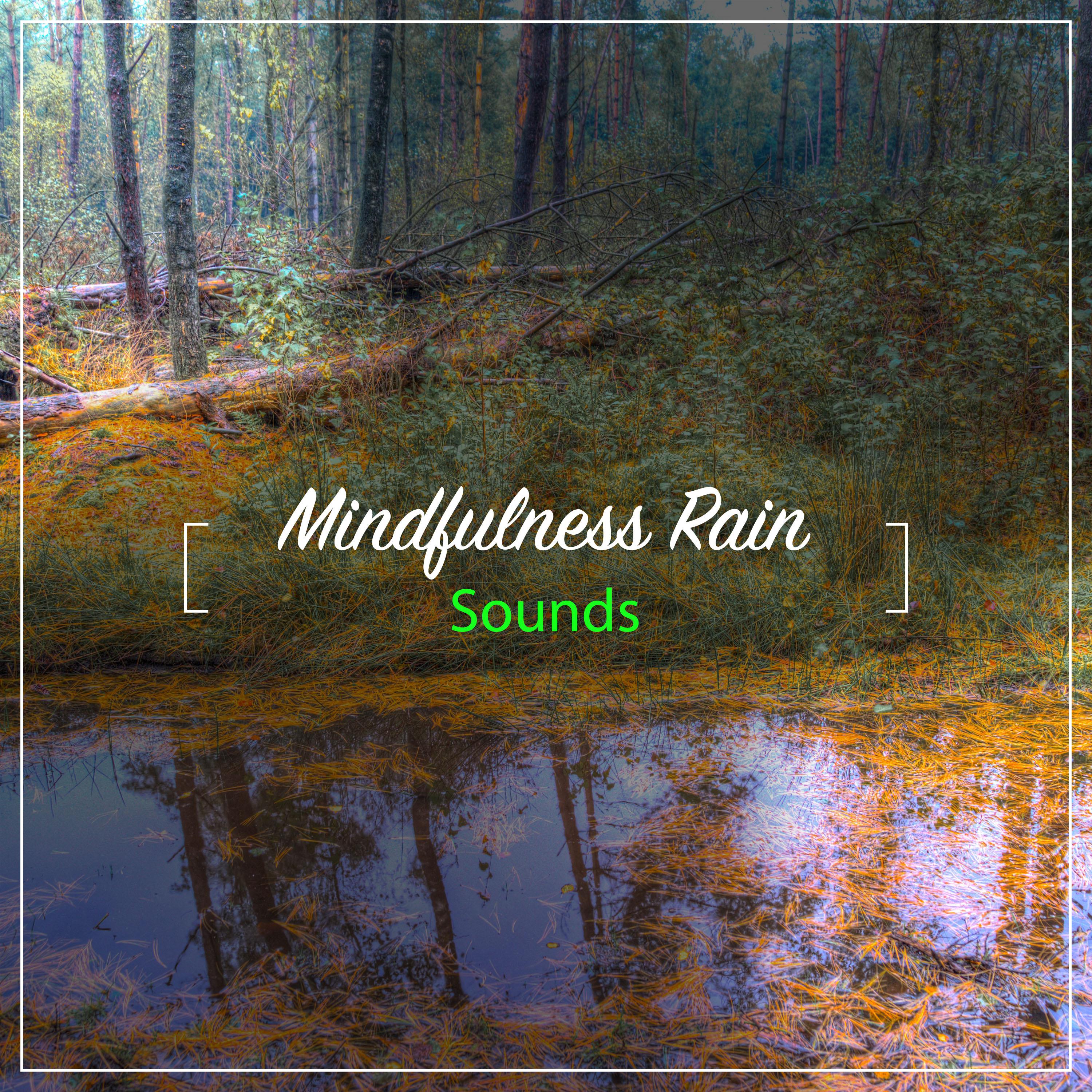 12 Mindfulness Rain Sounds for Peaceful Night Sleep