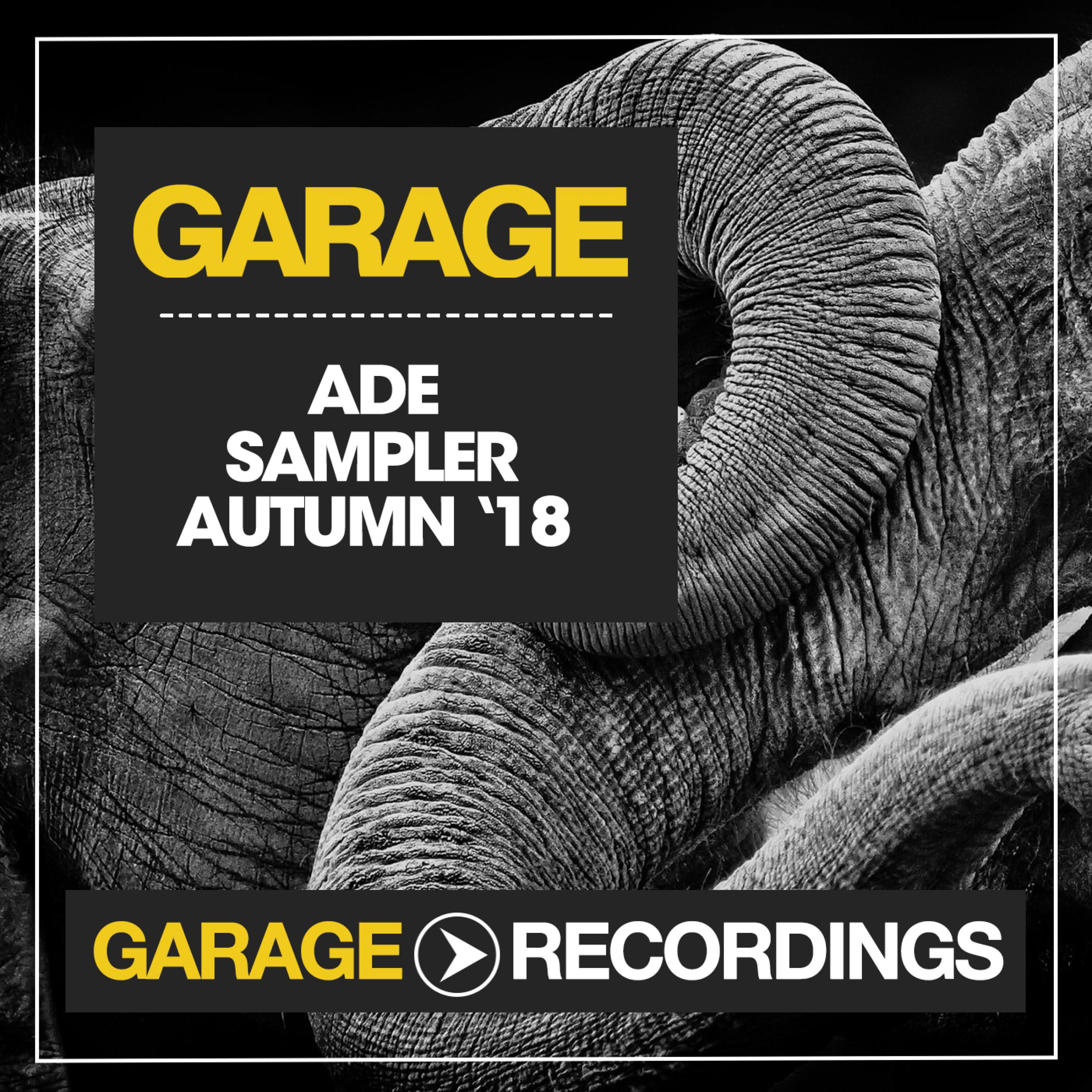 Ade Sampler Autumn '18