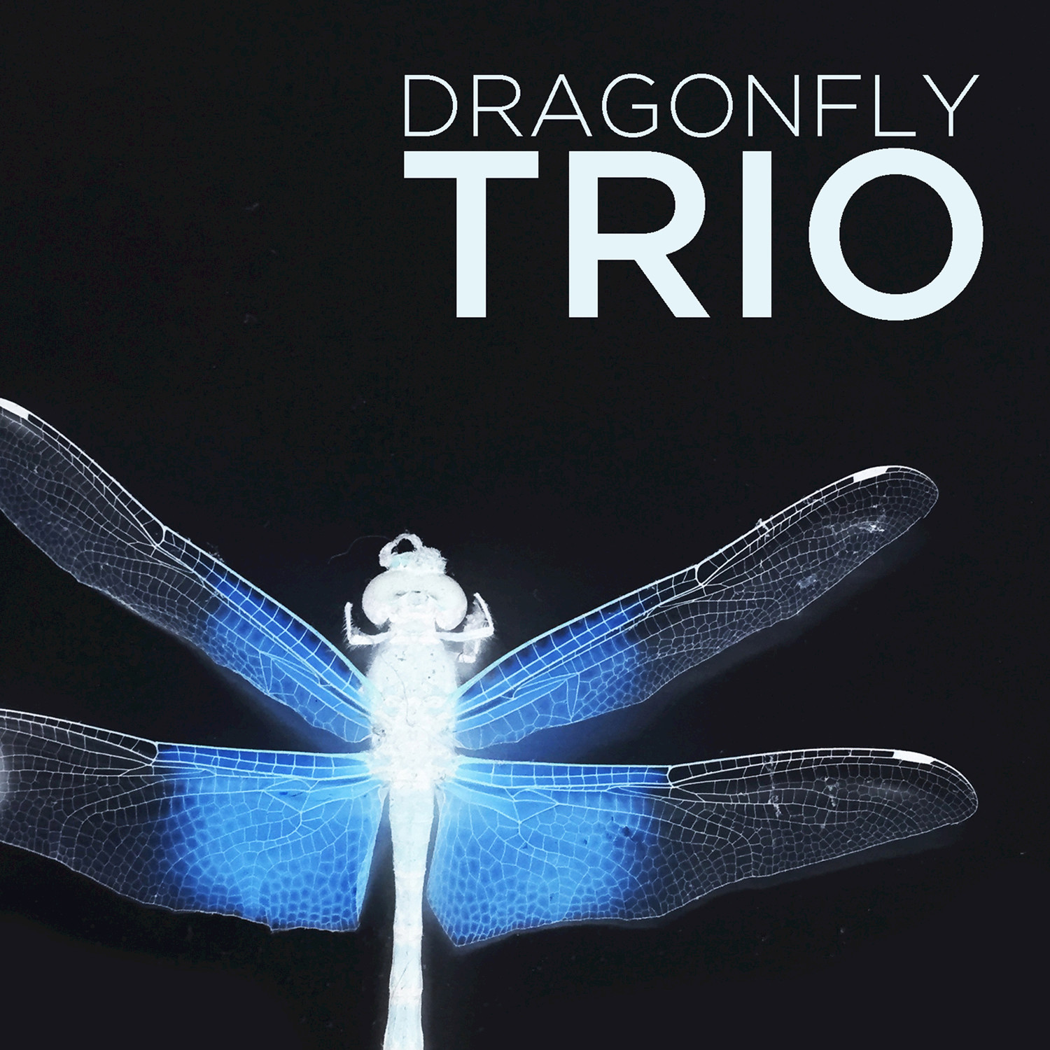 Dragonfly (PUX Ambient Dreamscape Mix)