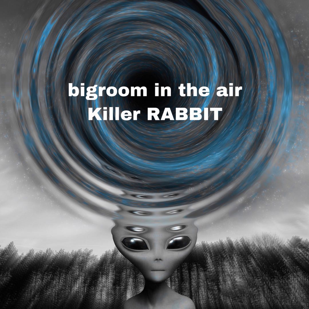 Hard wellBigroom in the air DJ Killer RABBIT Remix